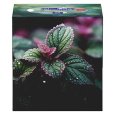 Alouette papírzsebkendő 3 rétegű - 56 db kisképe