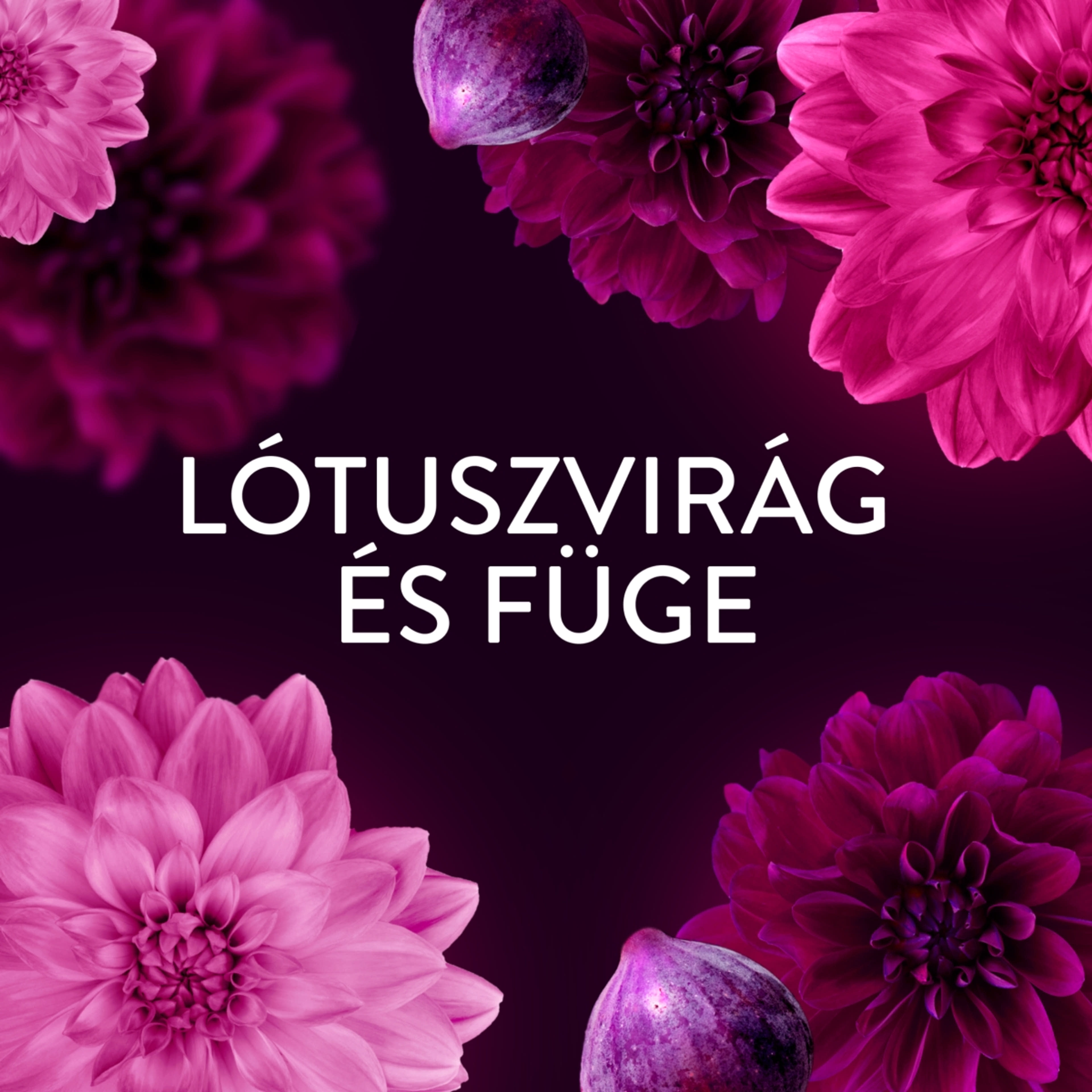 Lenor Lotus Water & Diamond Figs öblítő 59 mosáshoz - 1239 ml-4