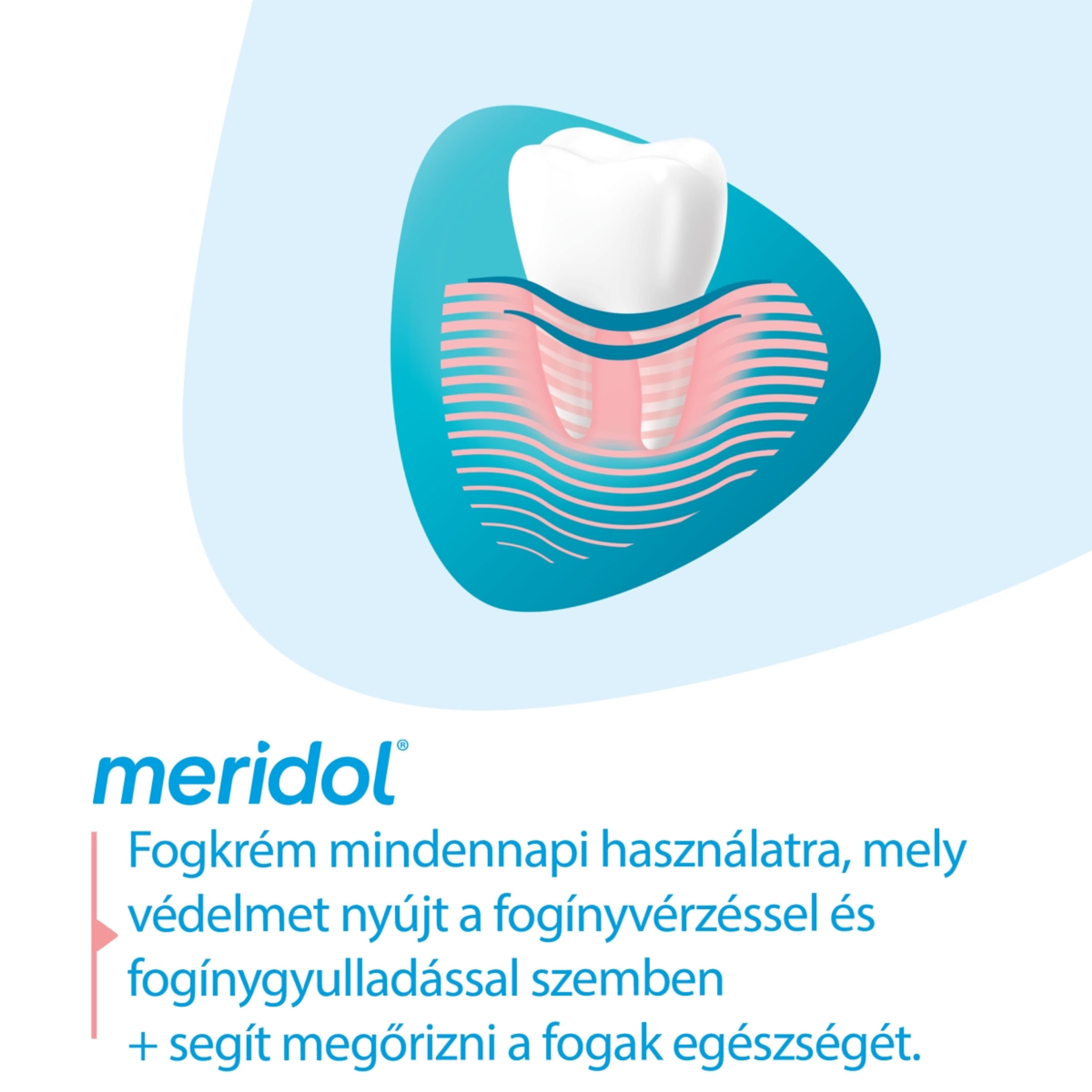 Meridol Gum Protection fogkrém az íny védelmére és ínyvérzés ellen - 75 ml-4