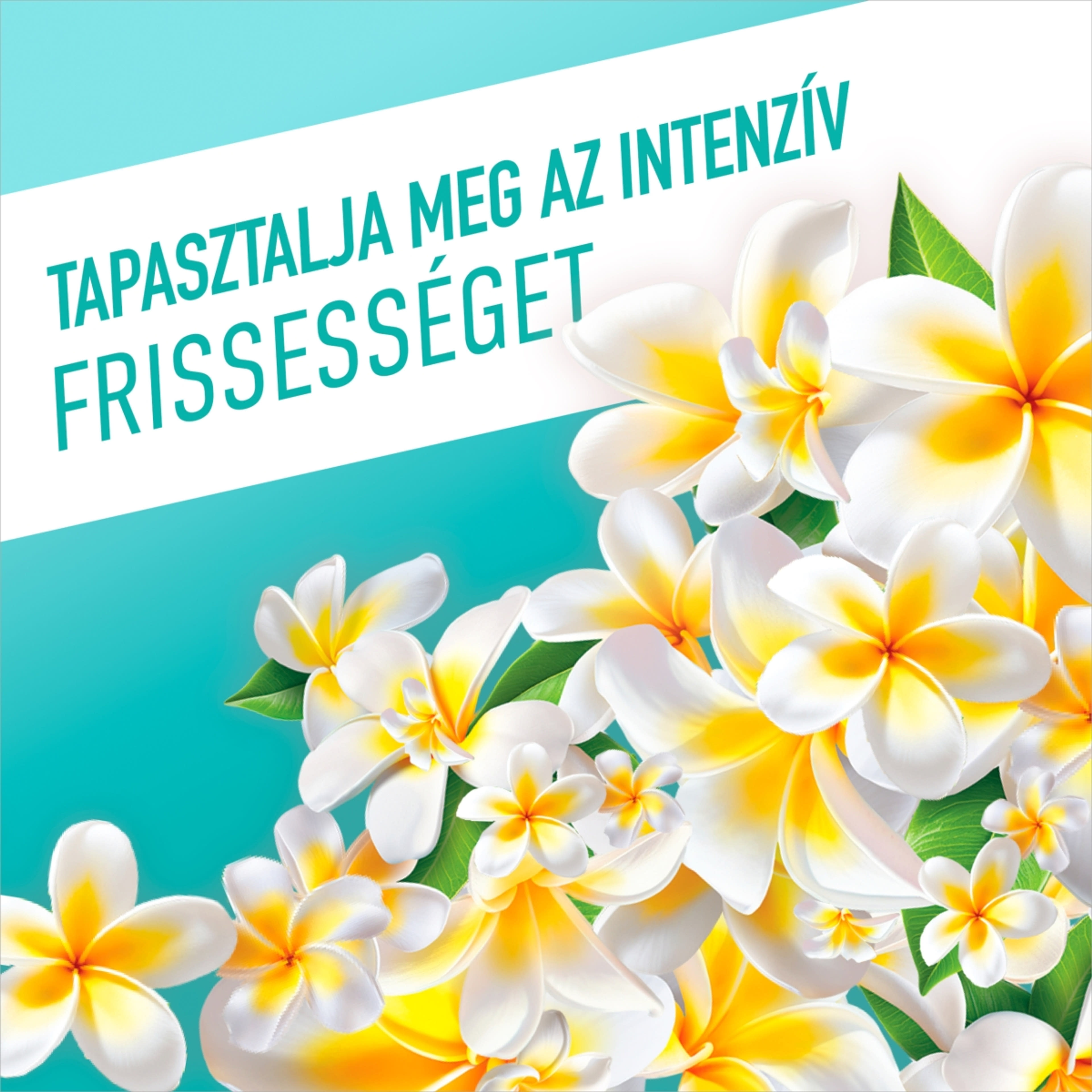 Ajax Floral Fiesta Lagoon Flowers Általános Tisztítószer - 1000 ml-4