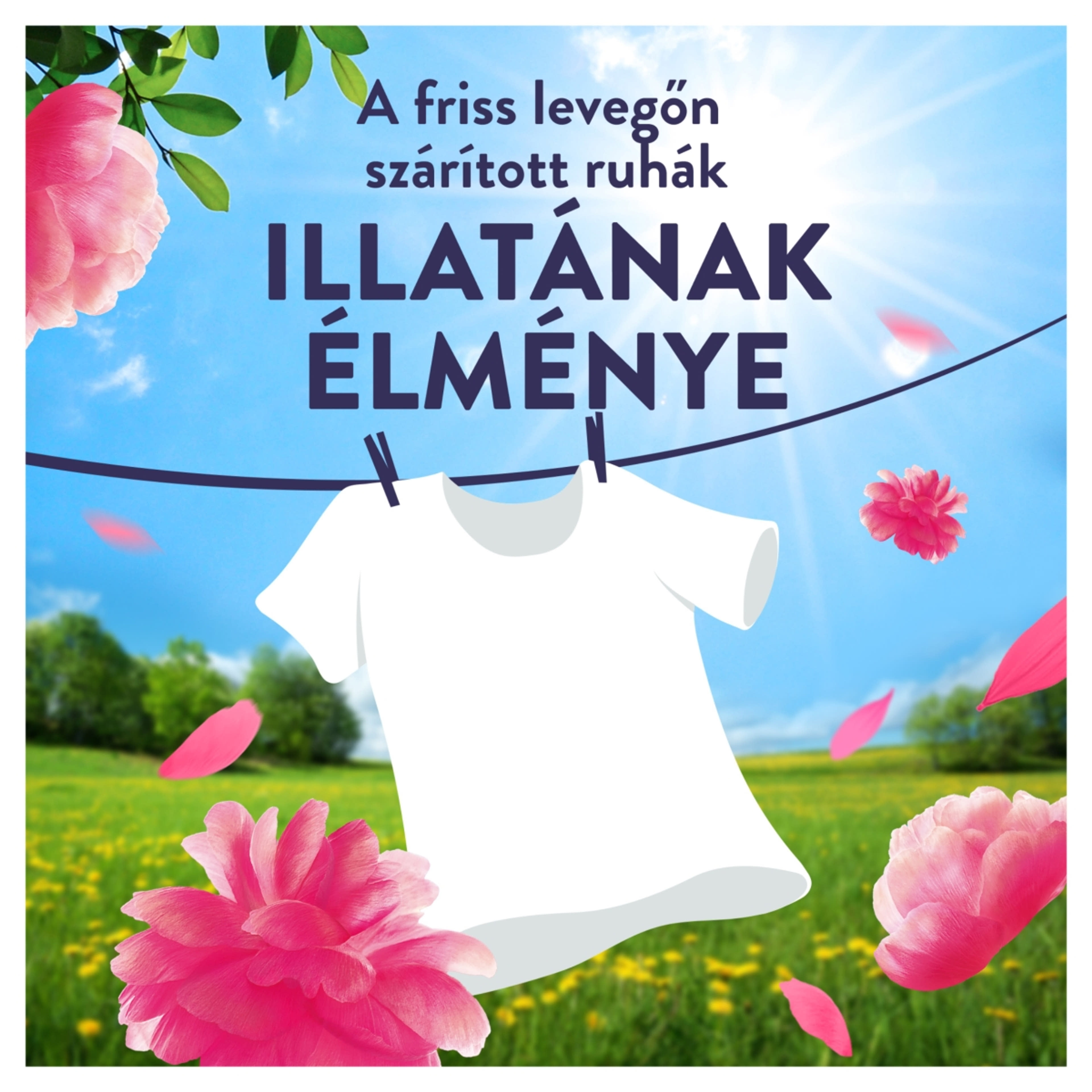 Lenor Pink Blossom öblítő 86 mosáshoz - 1204 ml-3
