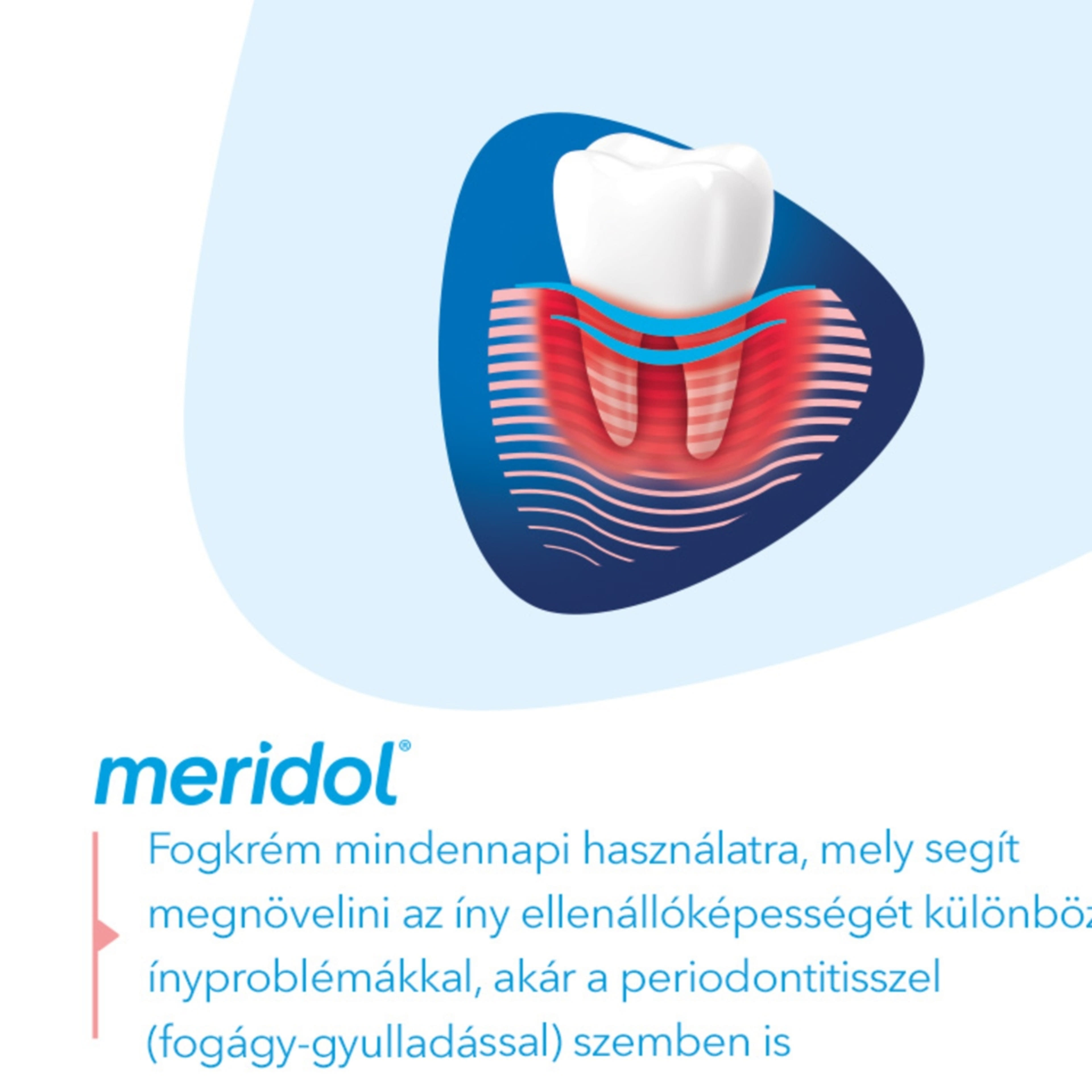 Meridol Paradont Expect fogkrém - 75 ml-5