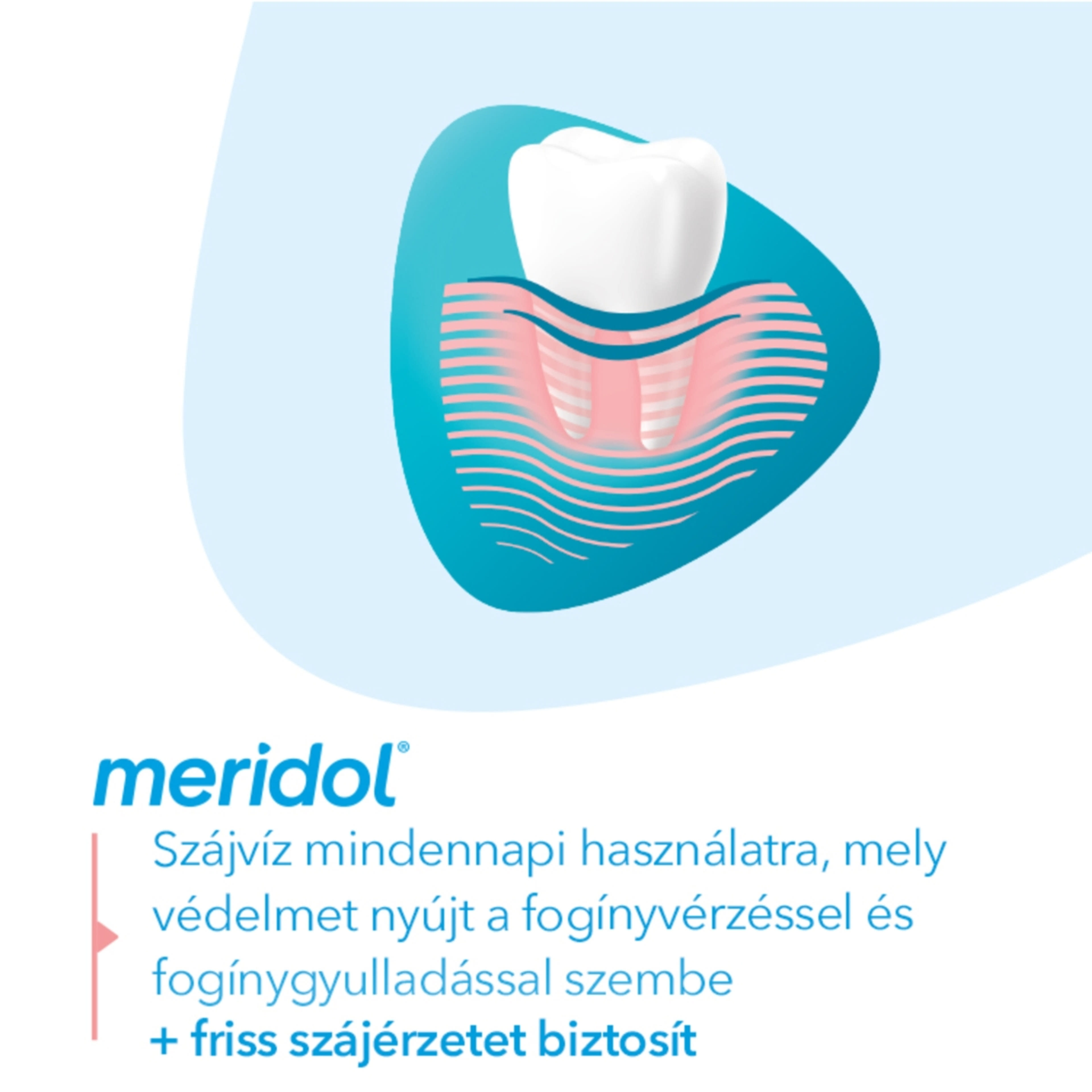 Meridol alkoholmentes szájvíz - 400 ml-4