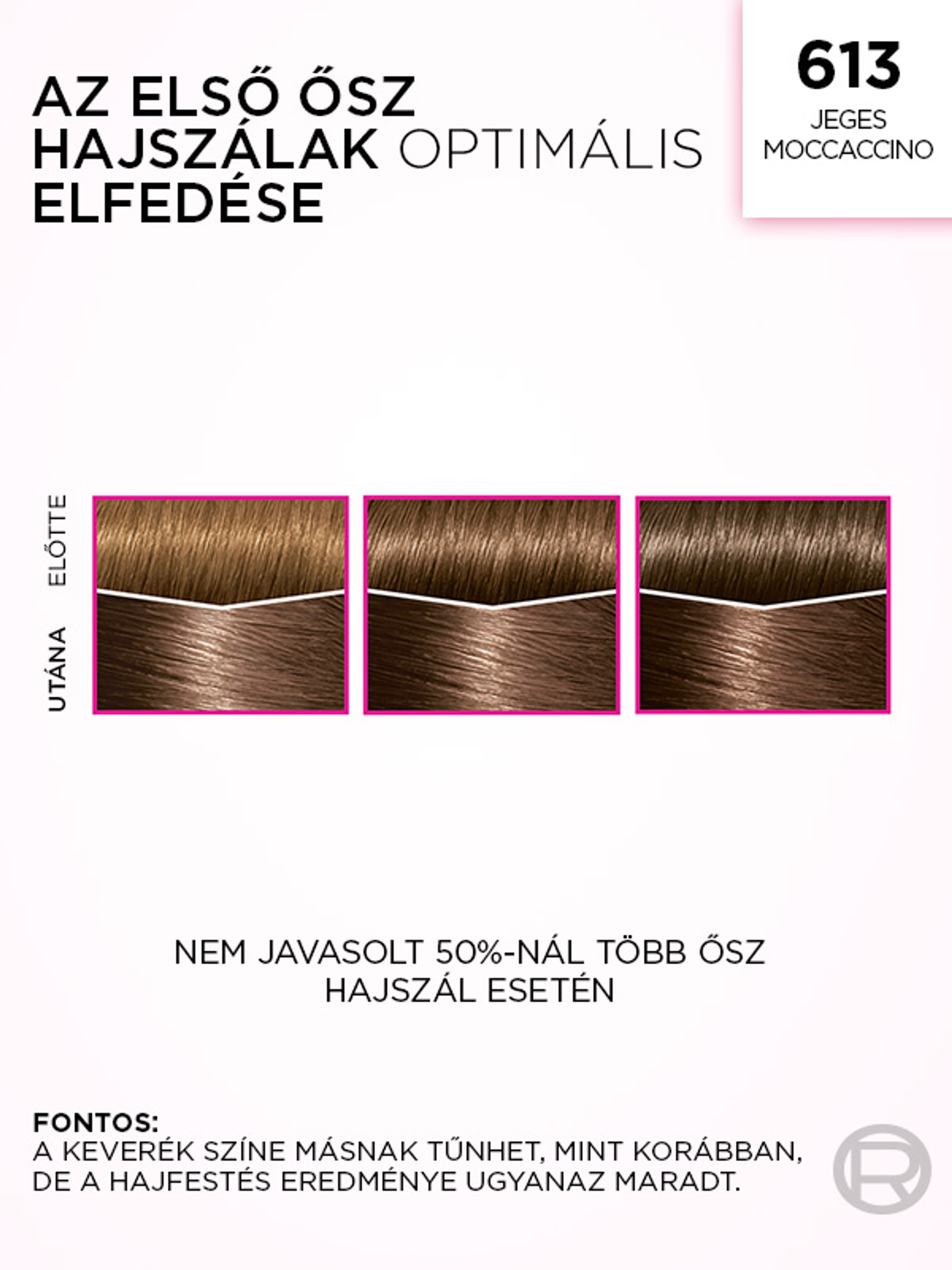 L'Oréal Paris Casting Creme Gloss hajfesték /613 Jeges Moccachino - 180 ml-6