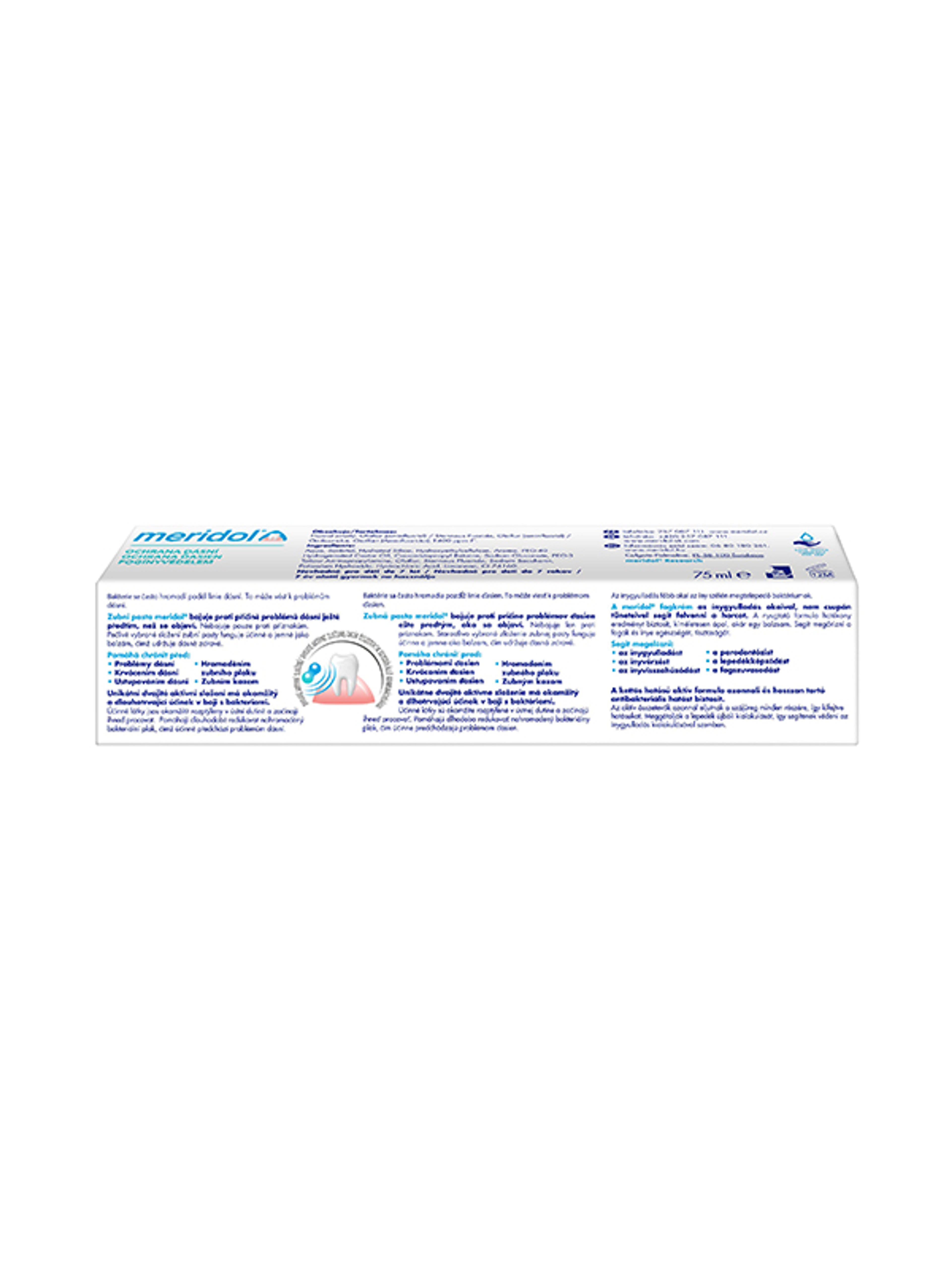 Meridol Gum Protection fogkrém az íny védelmére és ínyvérzés ellen - 75 ml-13
