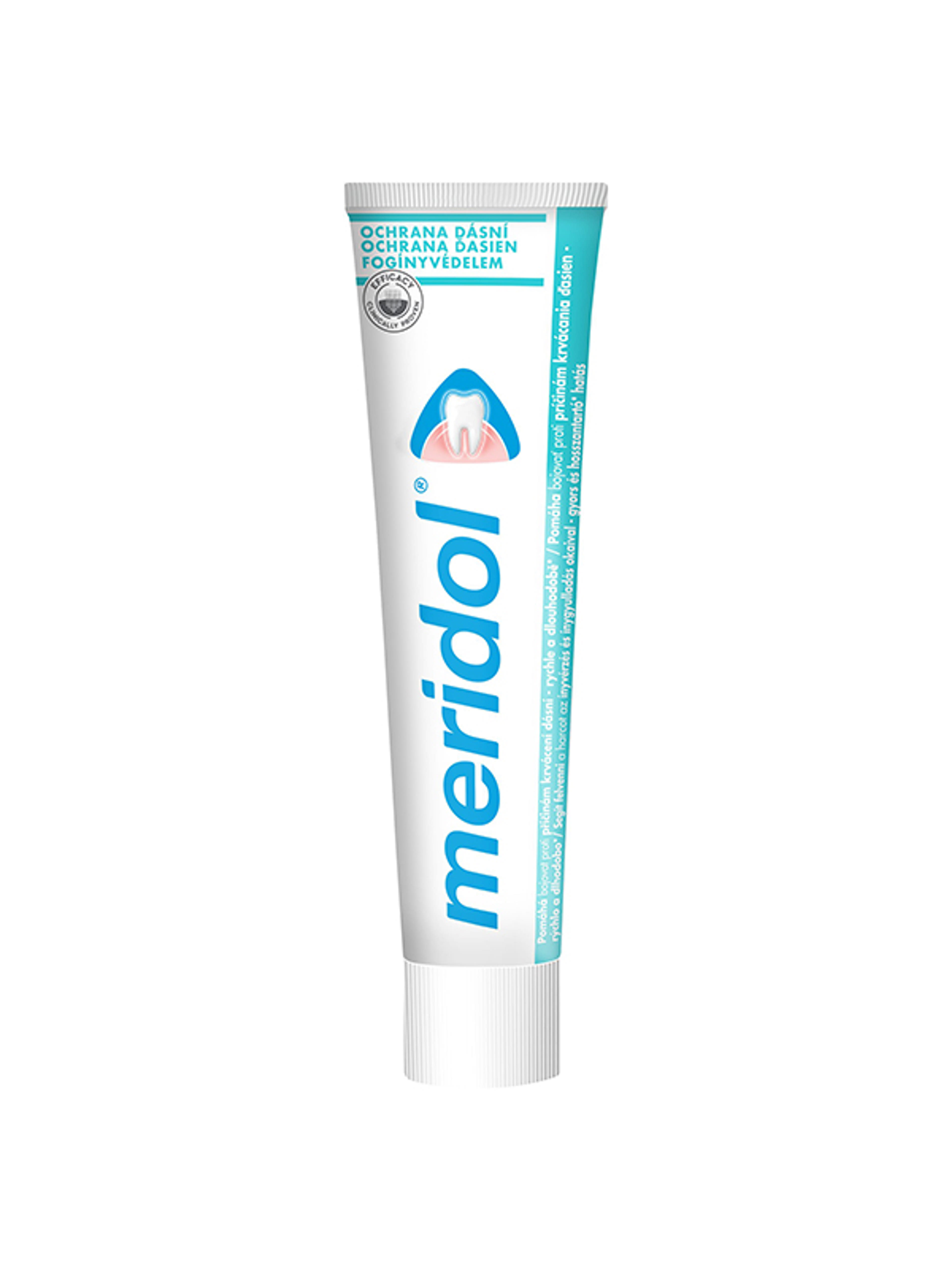Meridol Fogínyvédelem fogkrém - 75 ml-13