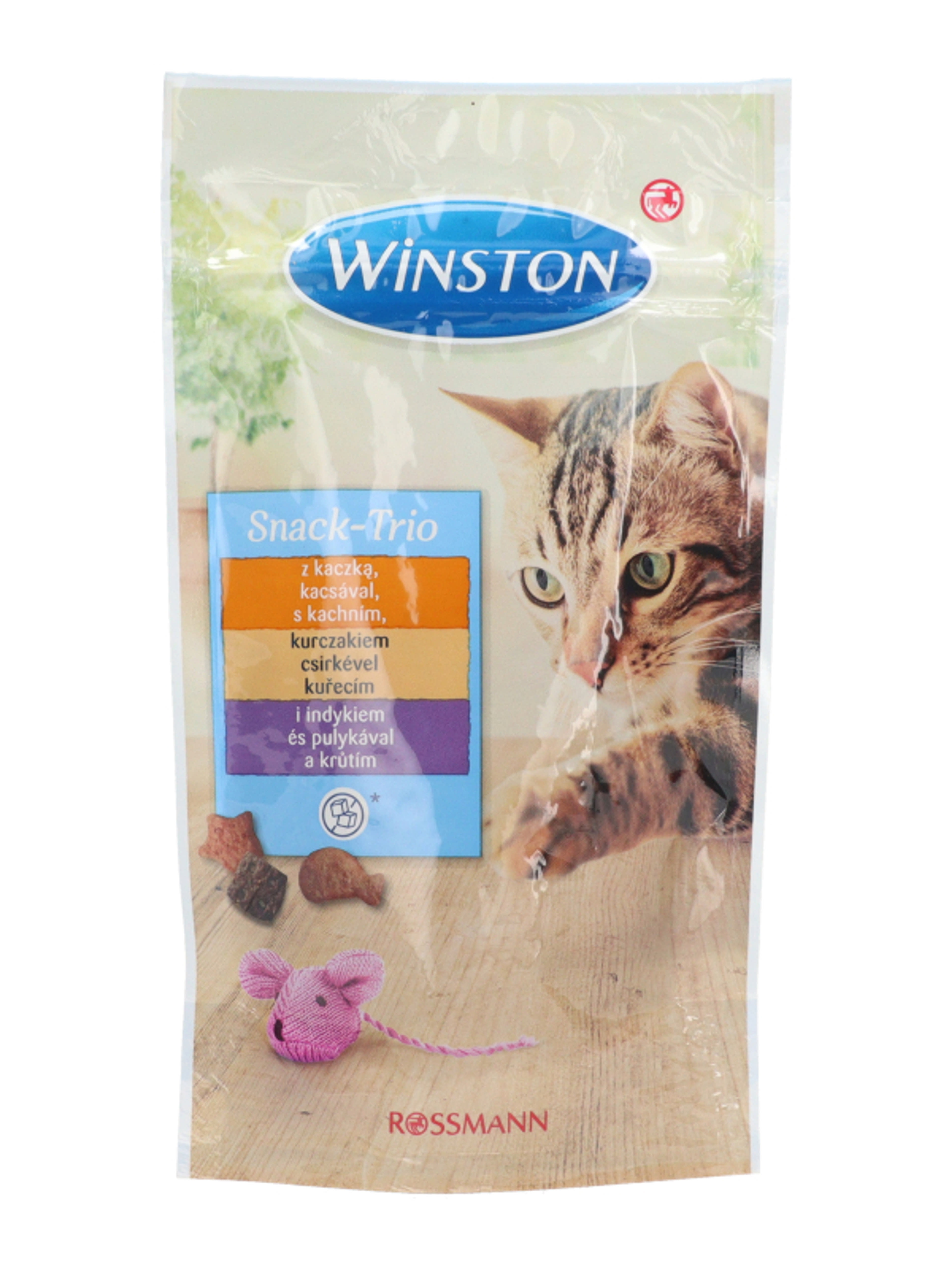 Winston jutalomfalat macskáknak - 50 g-3