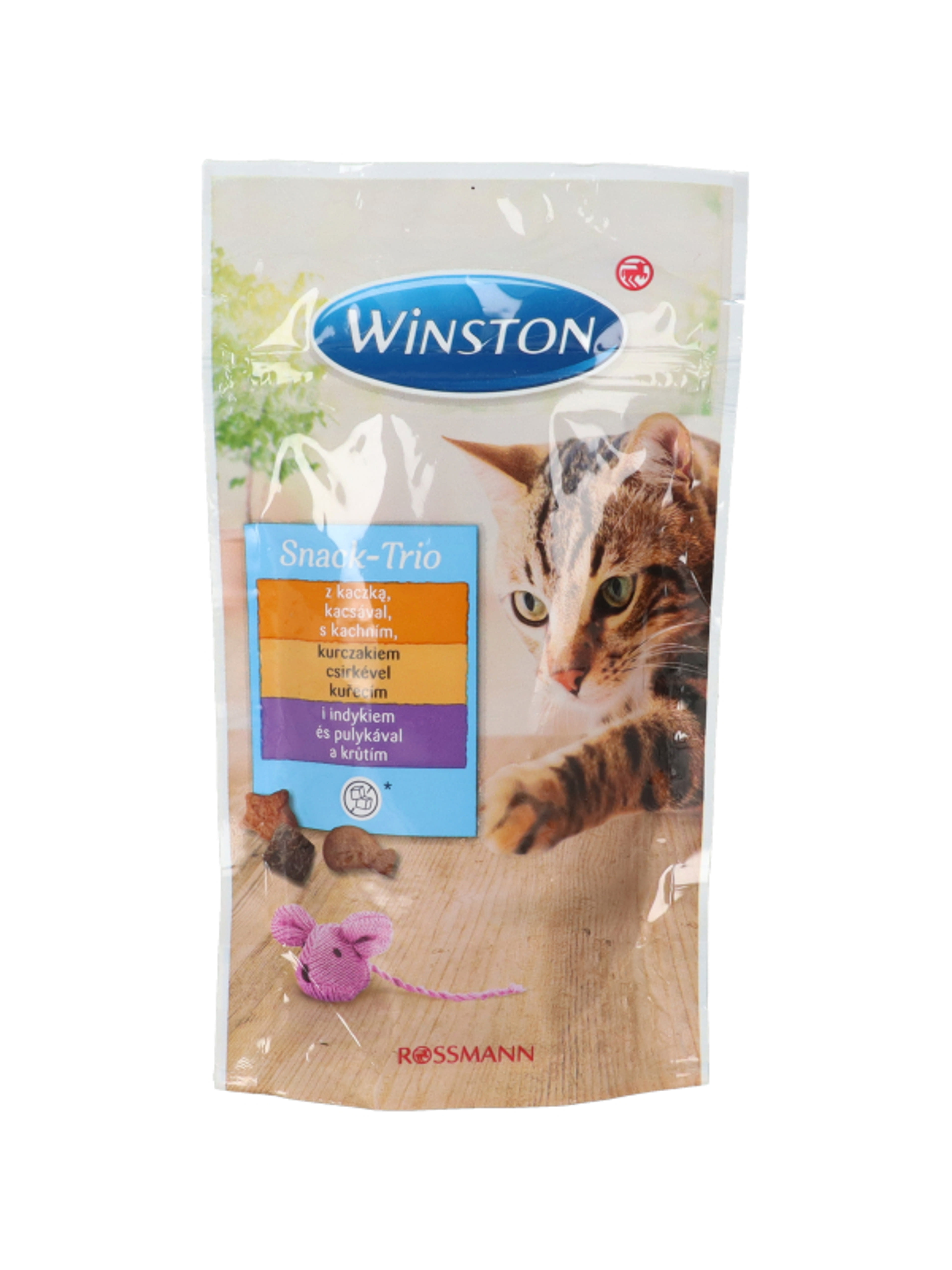 Winston jutalomfalat macskáknak - 50 g-2