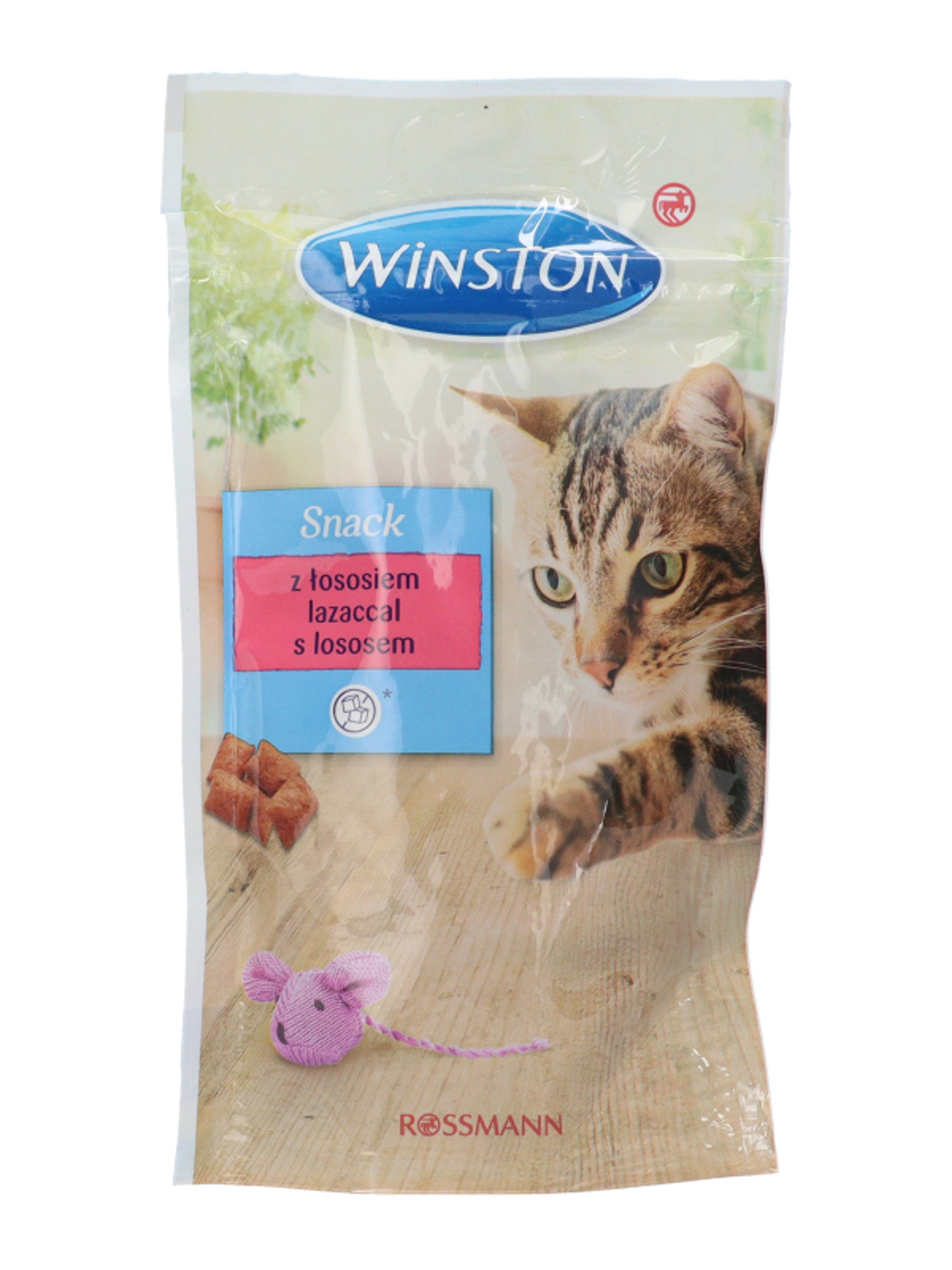 Winston jutalomfalat macskáknak - 50 g-3