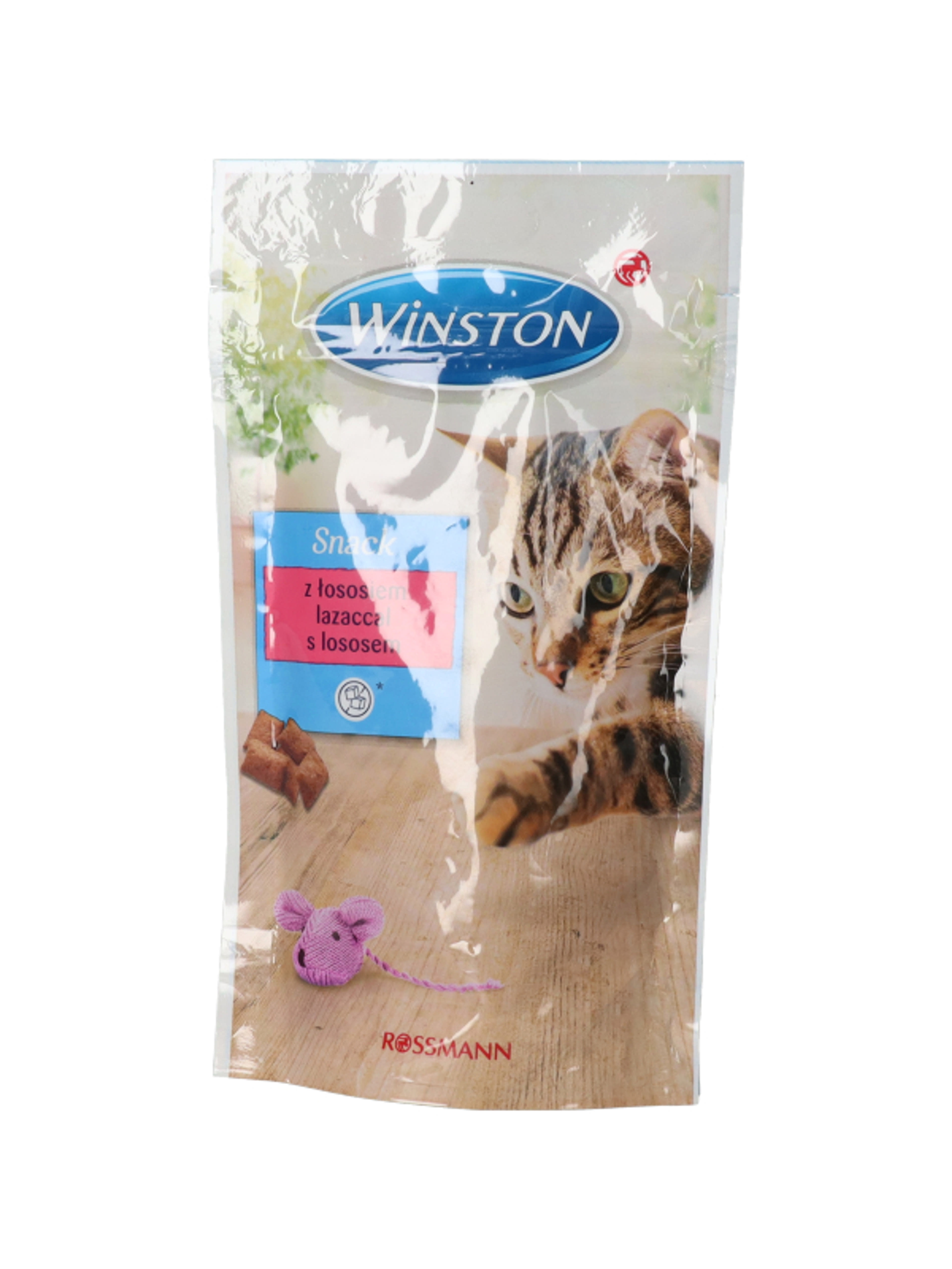 Winston jutalomfalat macskáknak - 50 g-4
