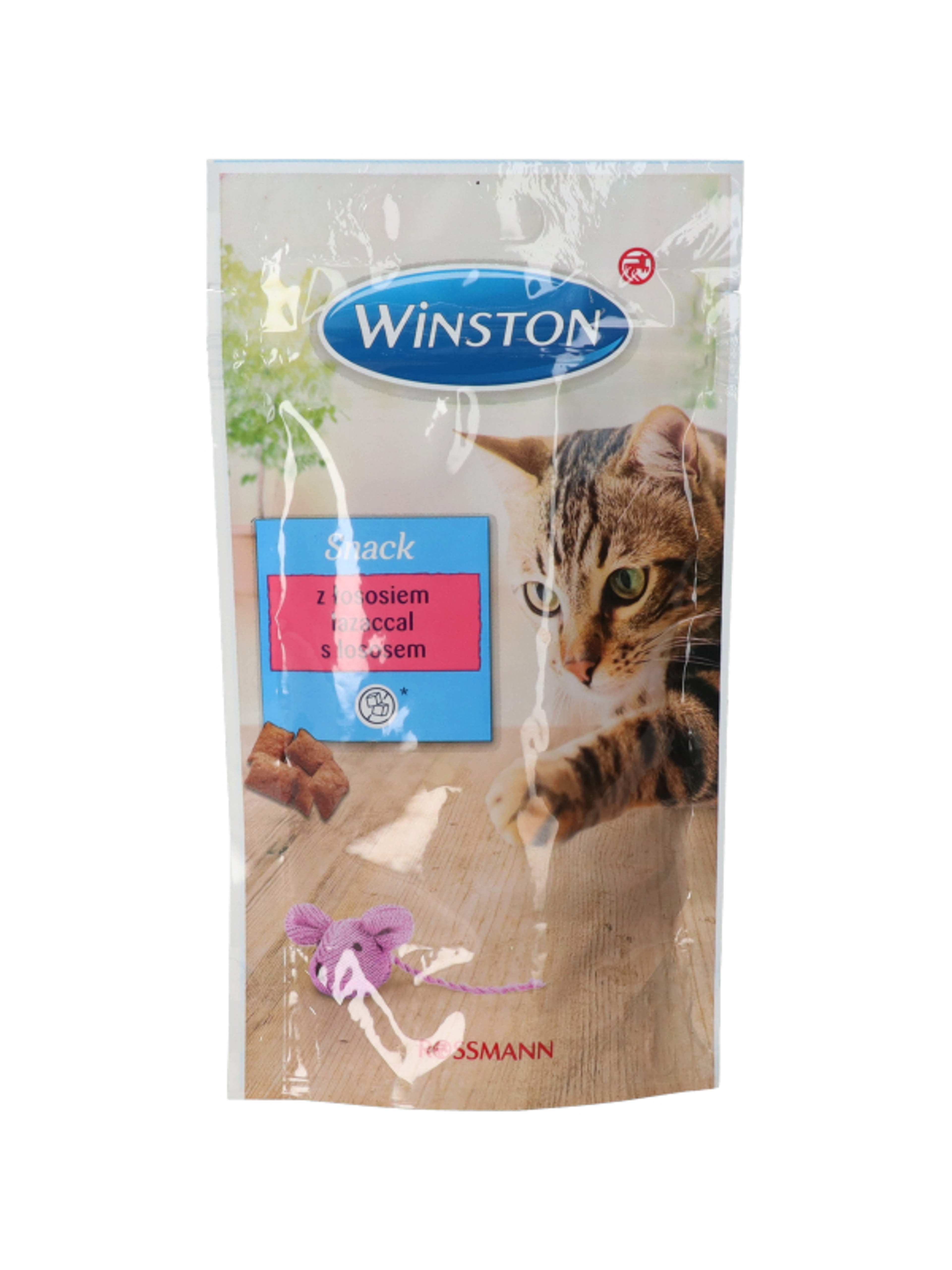 Winston jutalomfalat macskáknak - 50 g-1