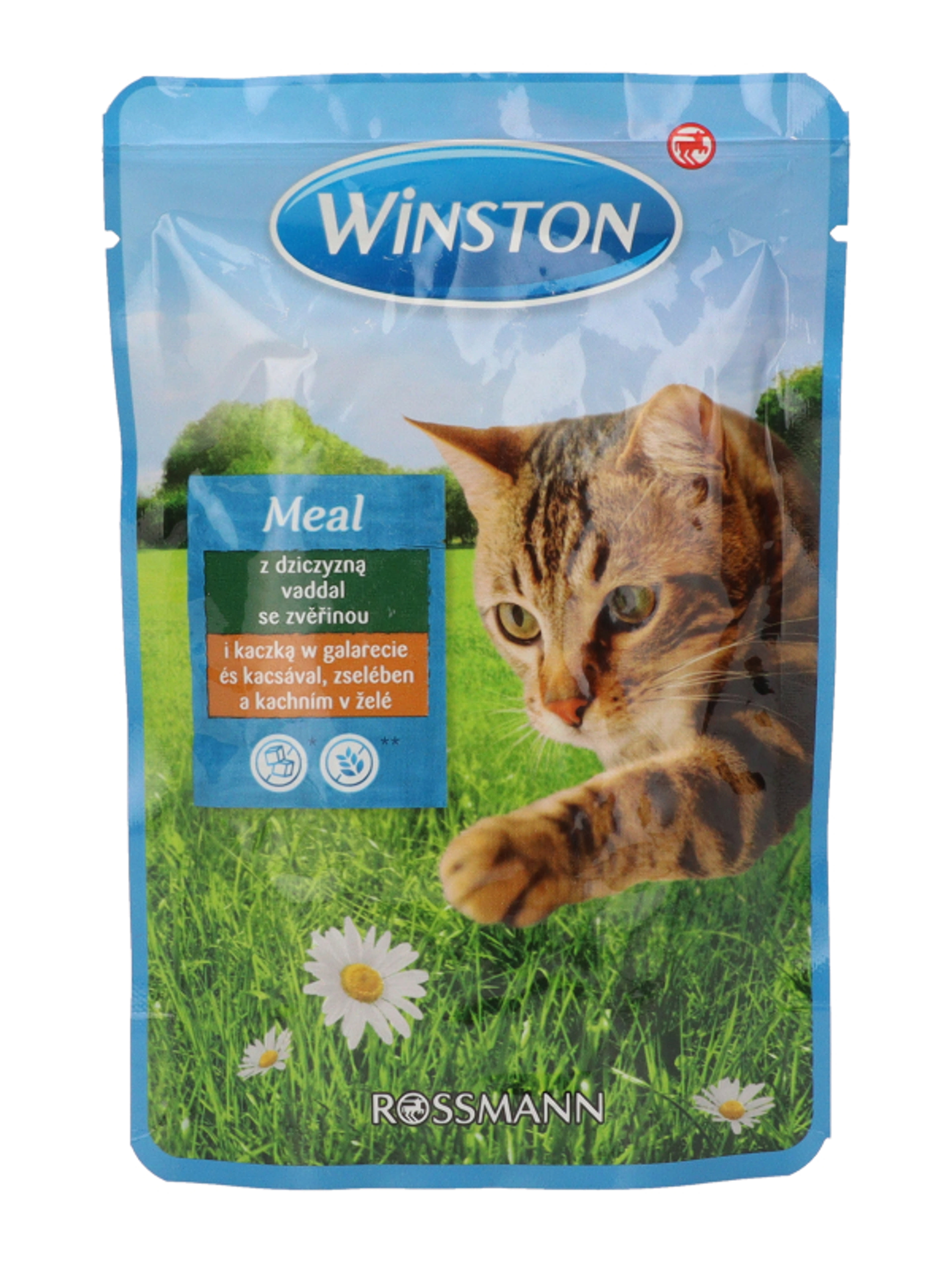 Winston alutasak macskáknak, vad és kacsahúsból - 100 g-3