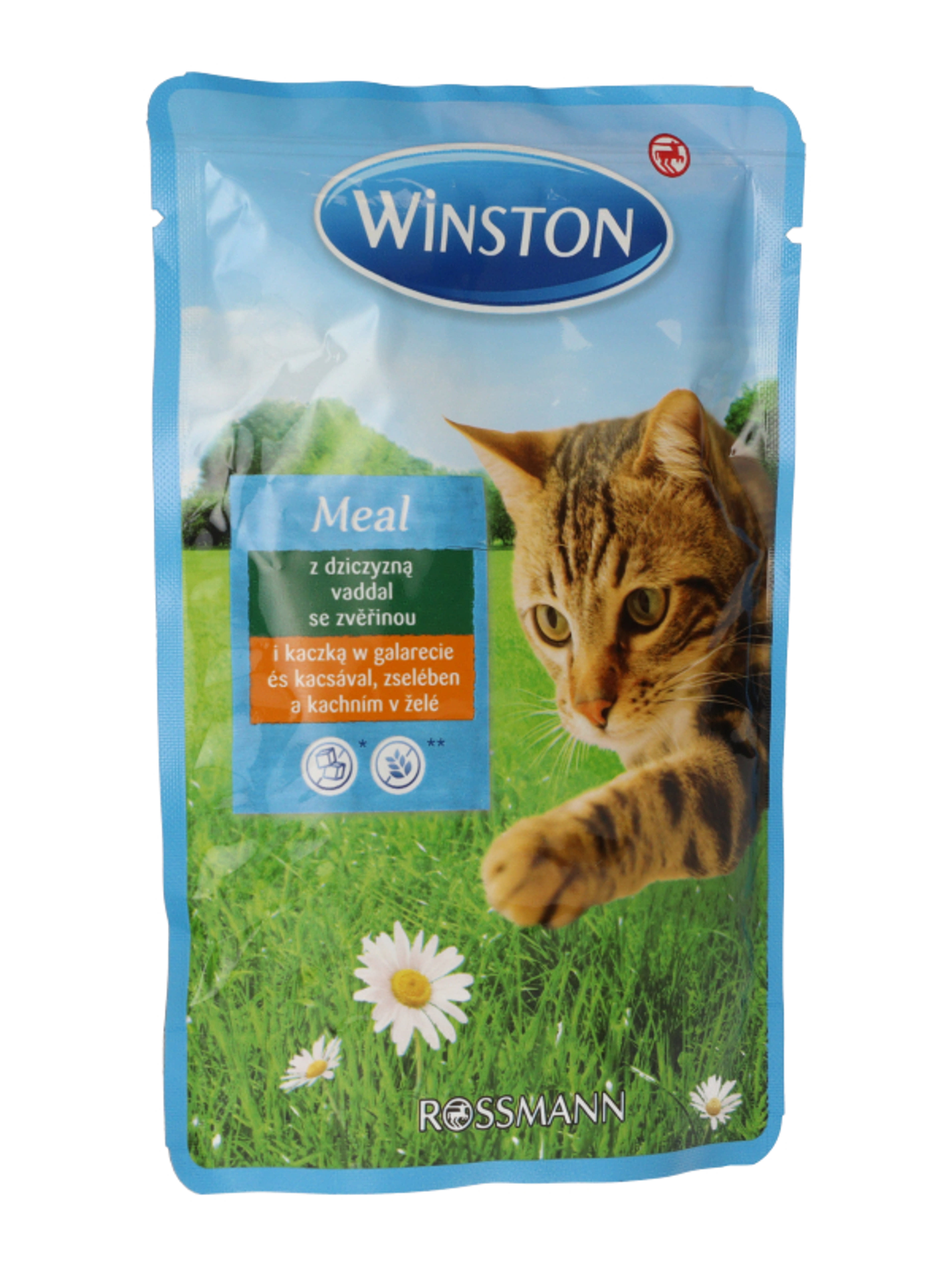 Winston alutasak macskáknak, vad és kacsahúsból - 100 g-6