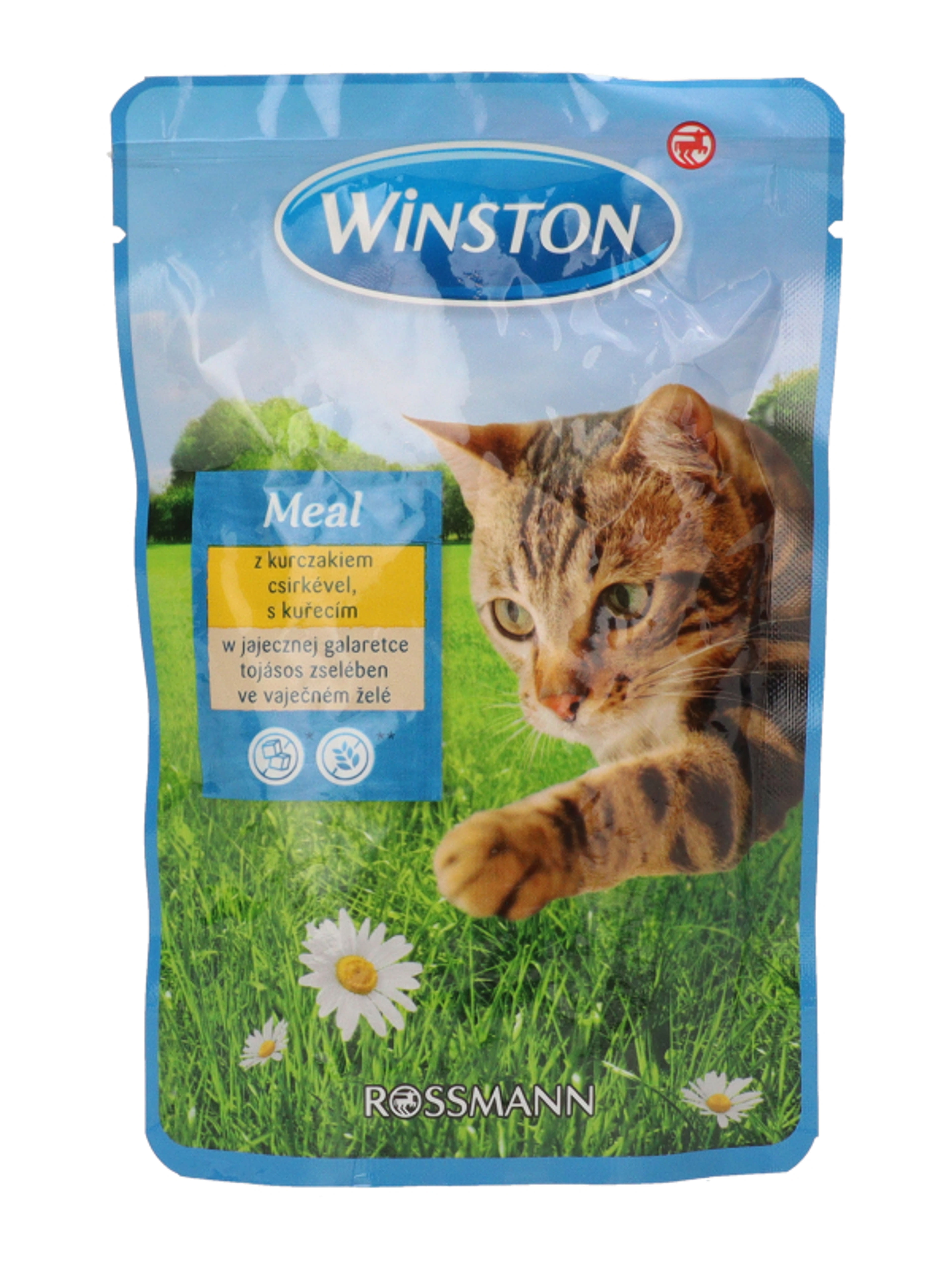 Winston alutasak macskáknak, csirkehússal és tojással - 100 g-3