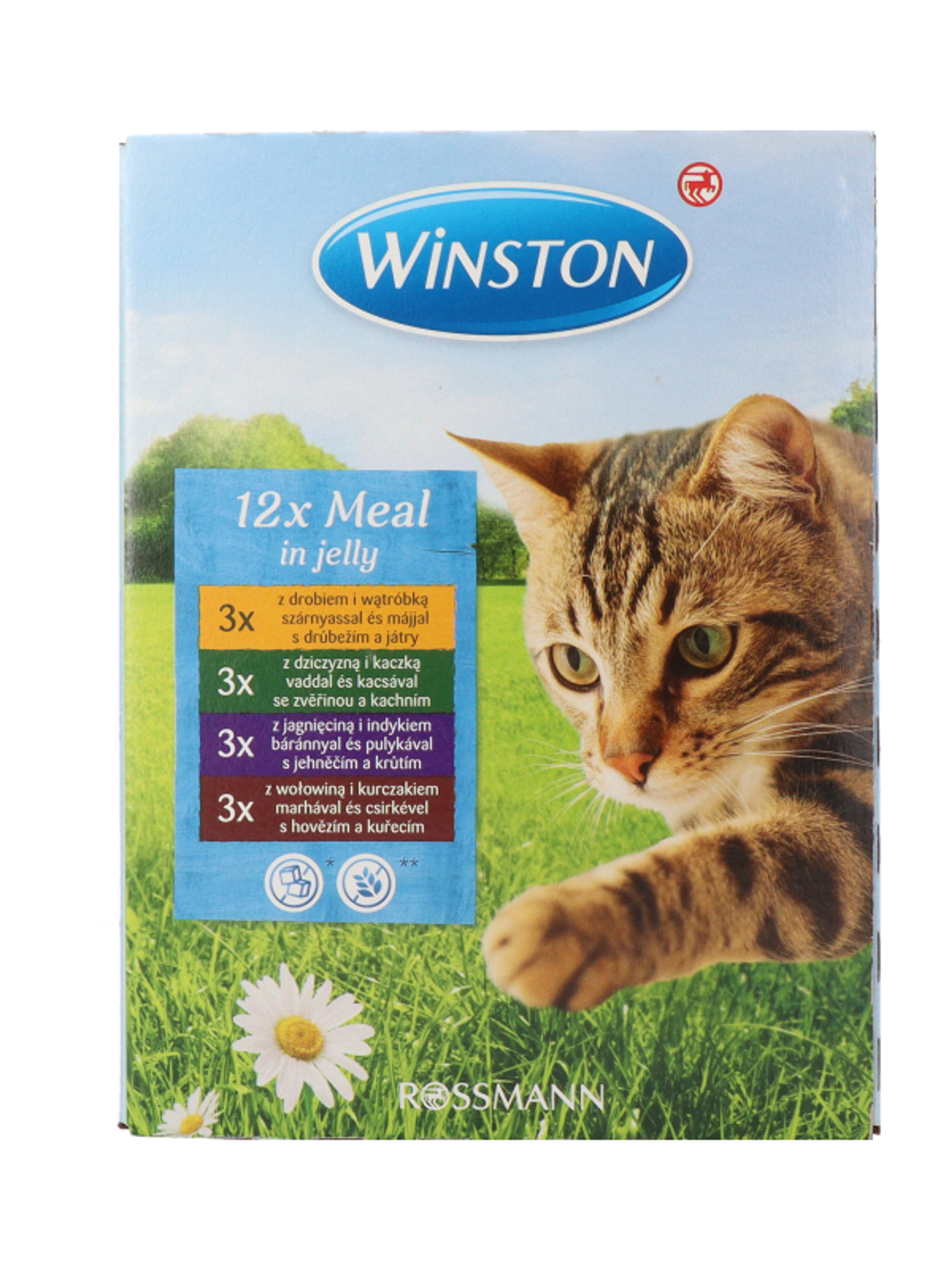 Winston alutasak macskáknak, zselében - 1200 g-4
