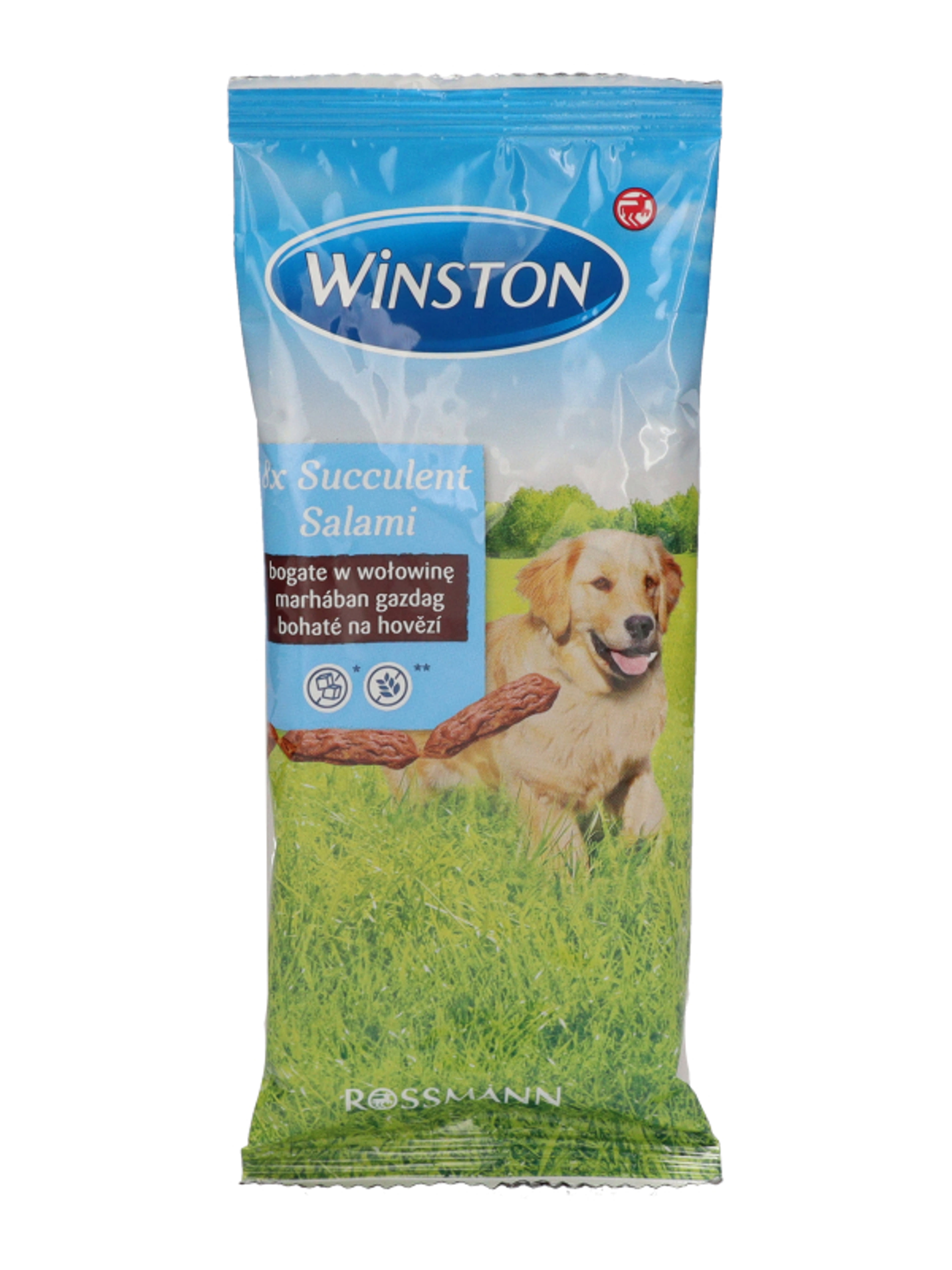 Winston jutalomfalat kutyáknak, szaftos szalálmi - 60 g - 8db-2