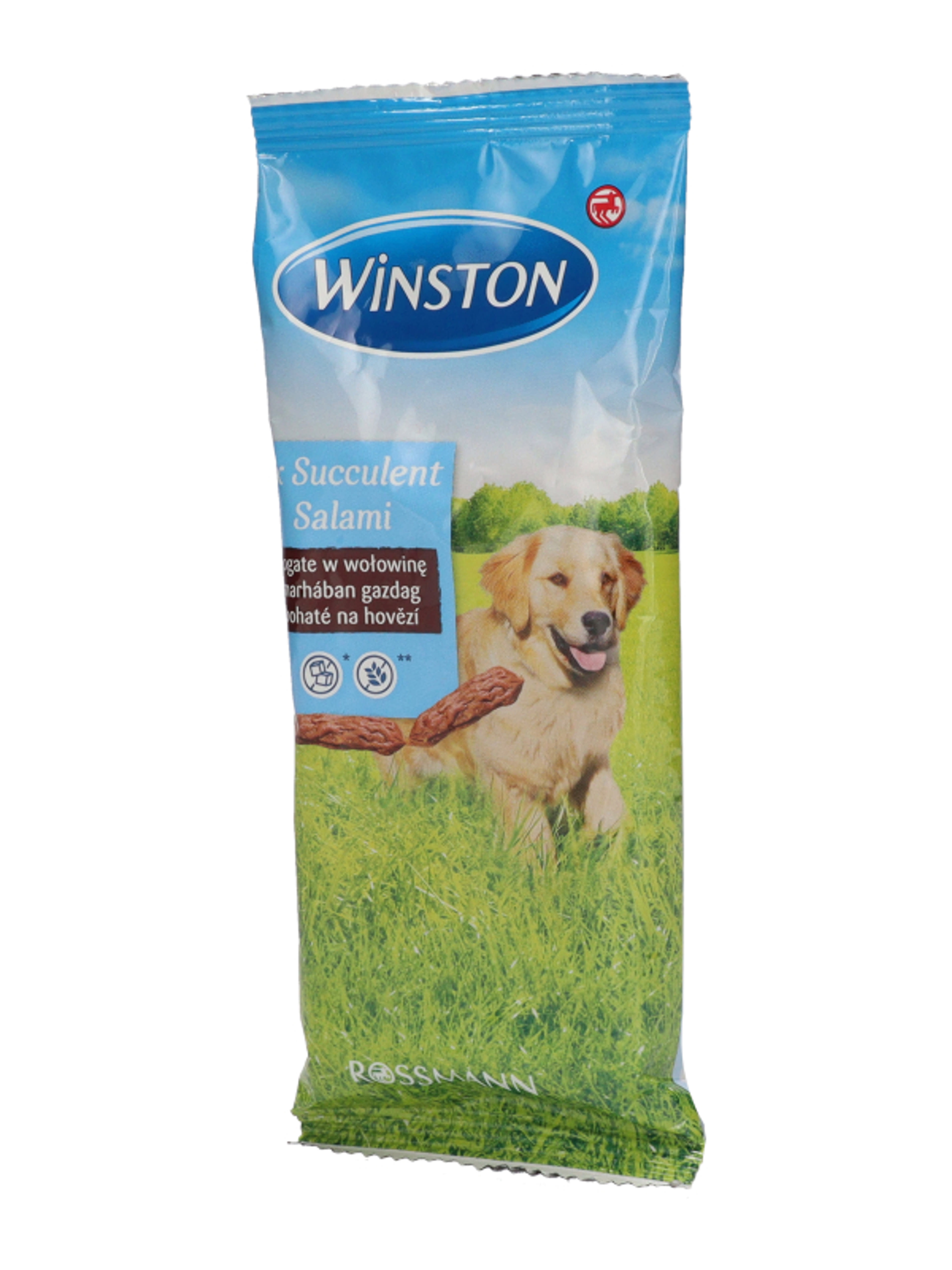 Winston jutalomfalat kutyáknak, szaftos szalálmi - 60 g - 8db-3