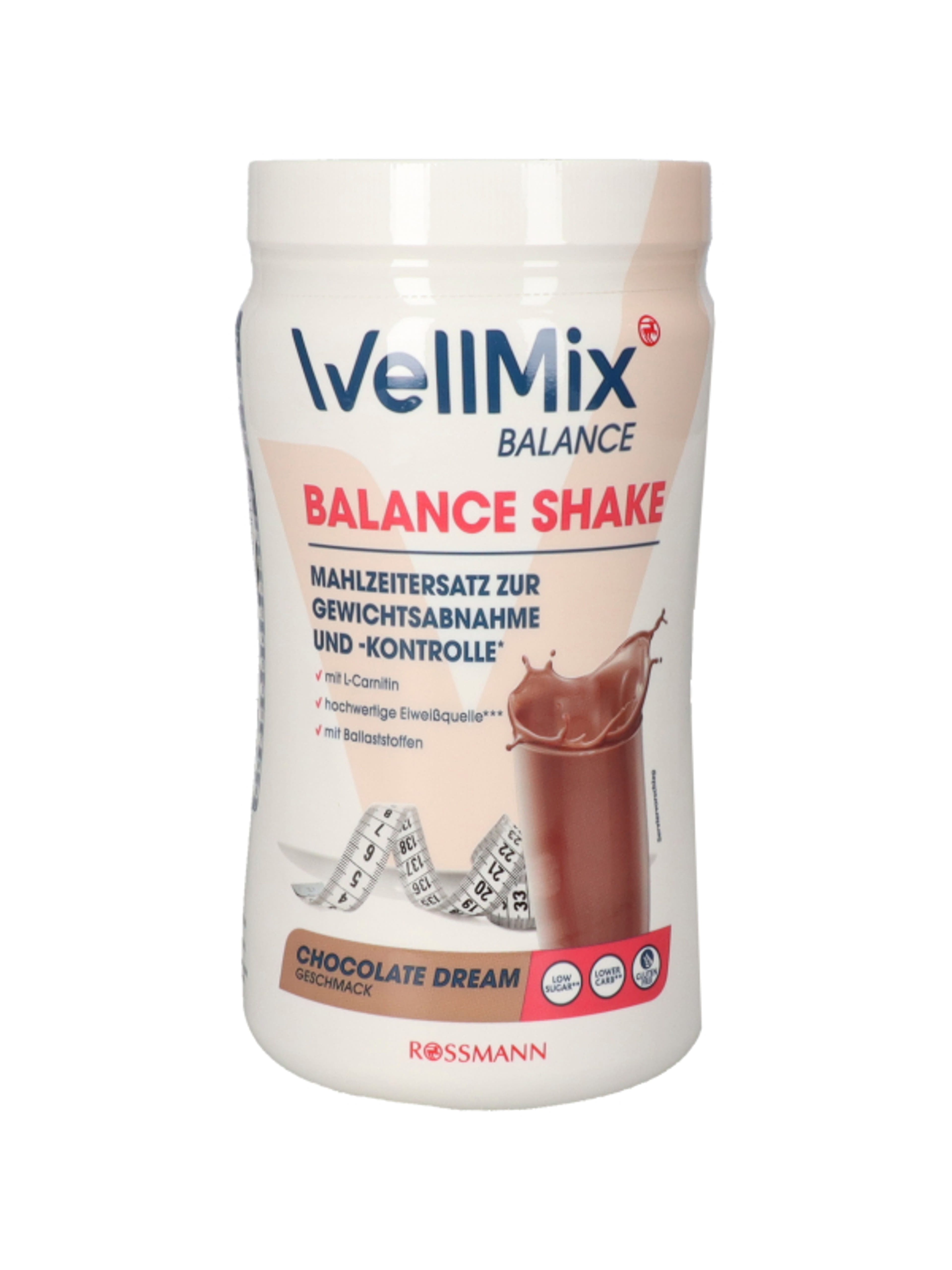 Well Mix Balance Schoko Shake - 350 g