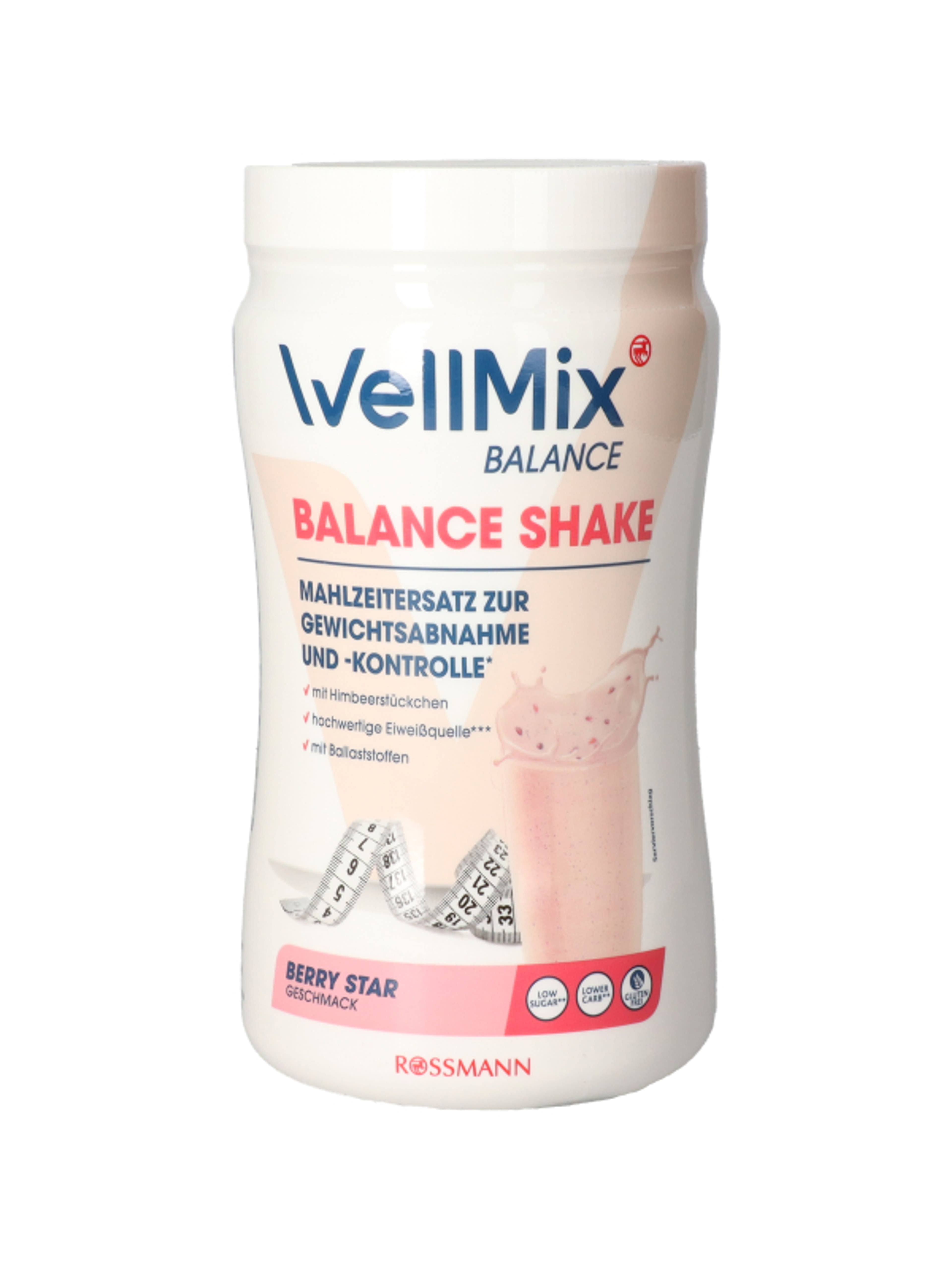 Well Mix Balance Berry Shake - 350 g-1