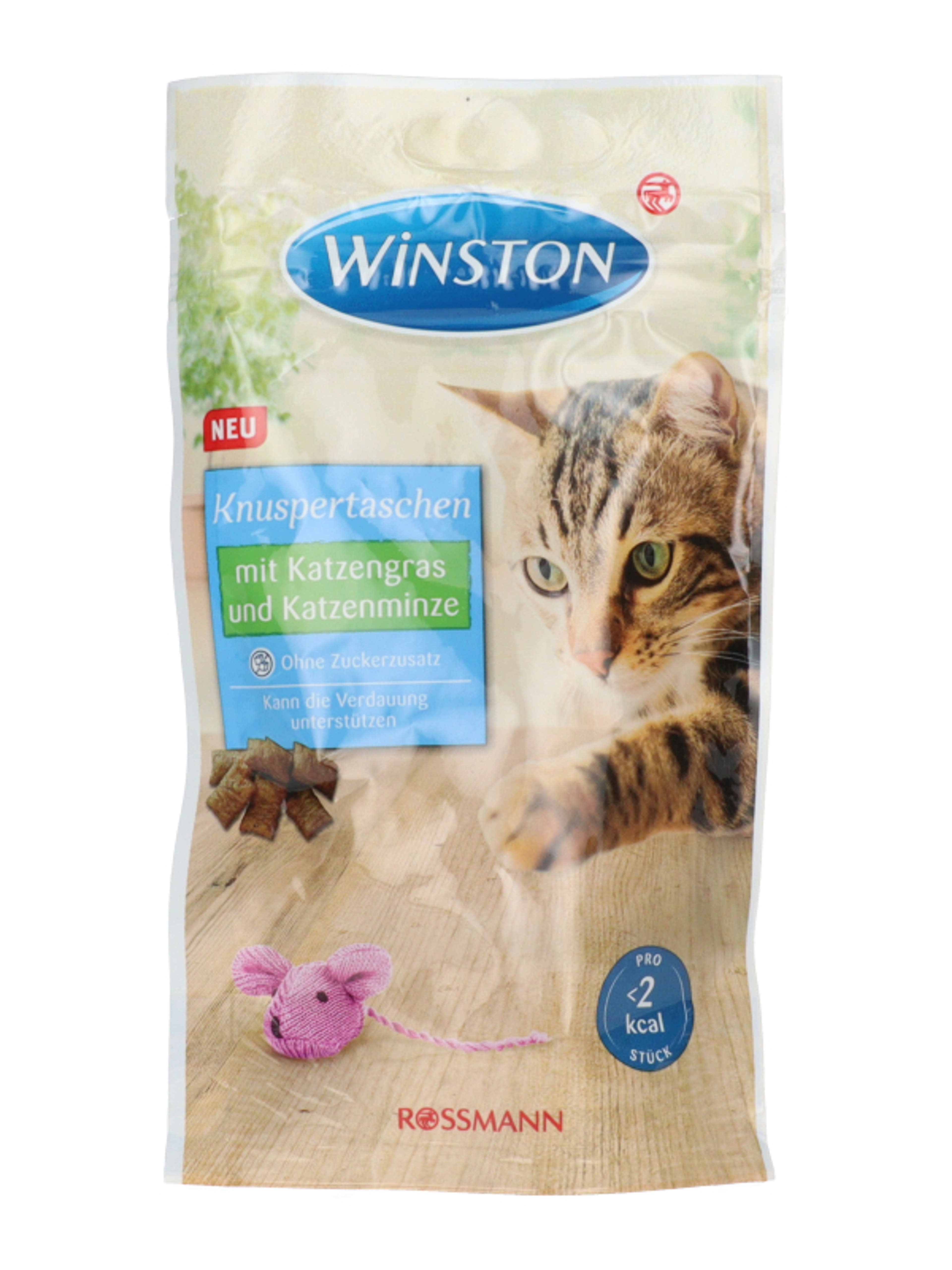Winston macska jutalomfalat macskamentával - 50 g