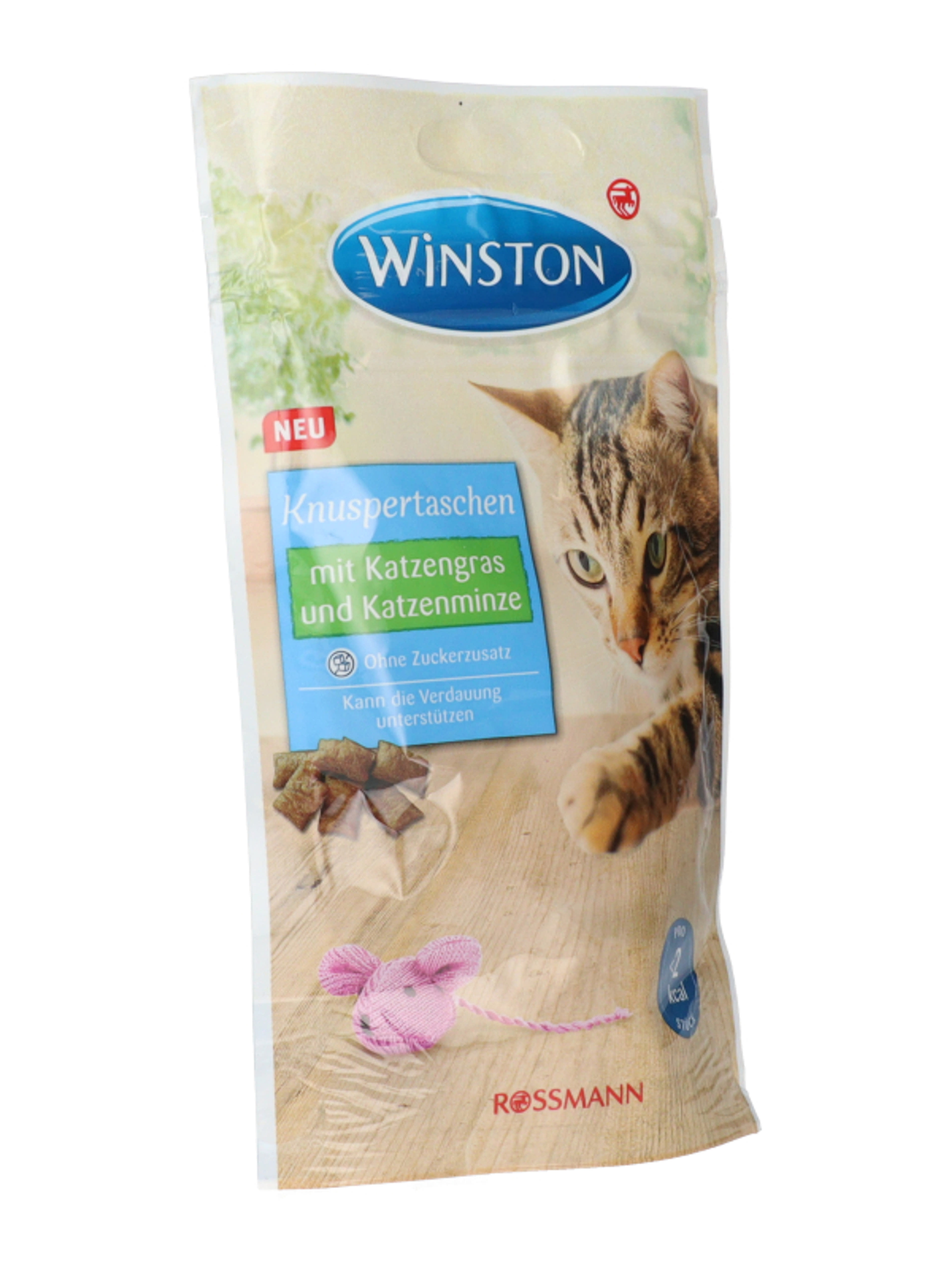 Winston macska jutalomfalat macskamentával - 50 g-4