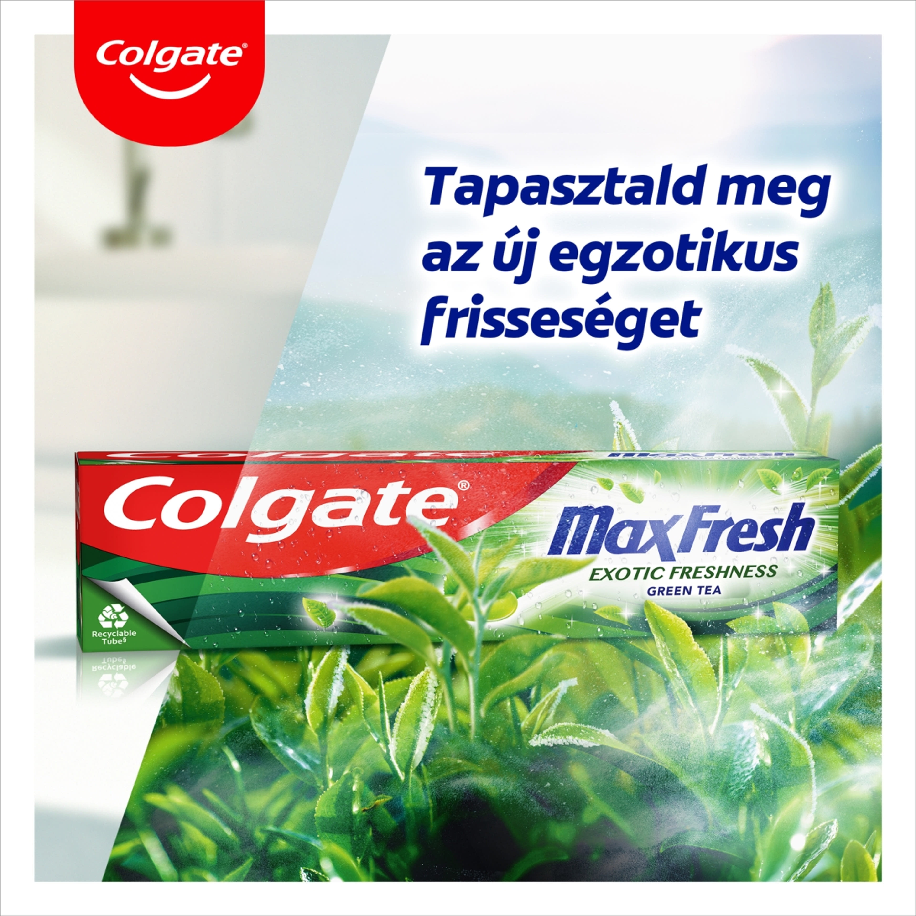 Colgate Max Fresh Exotic Freshness Green Tea fogkrém - 75 ml-5