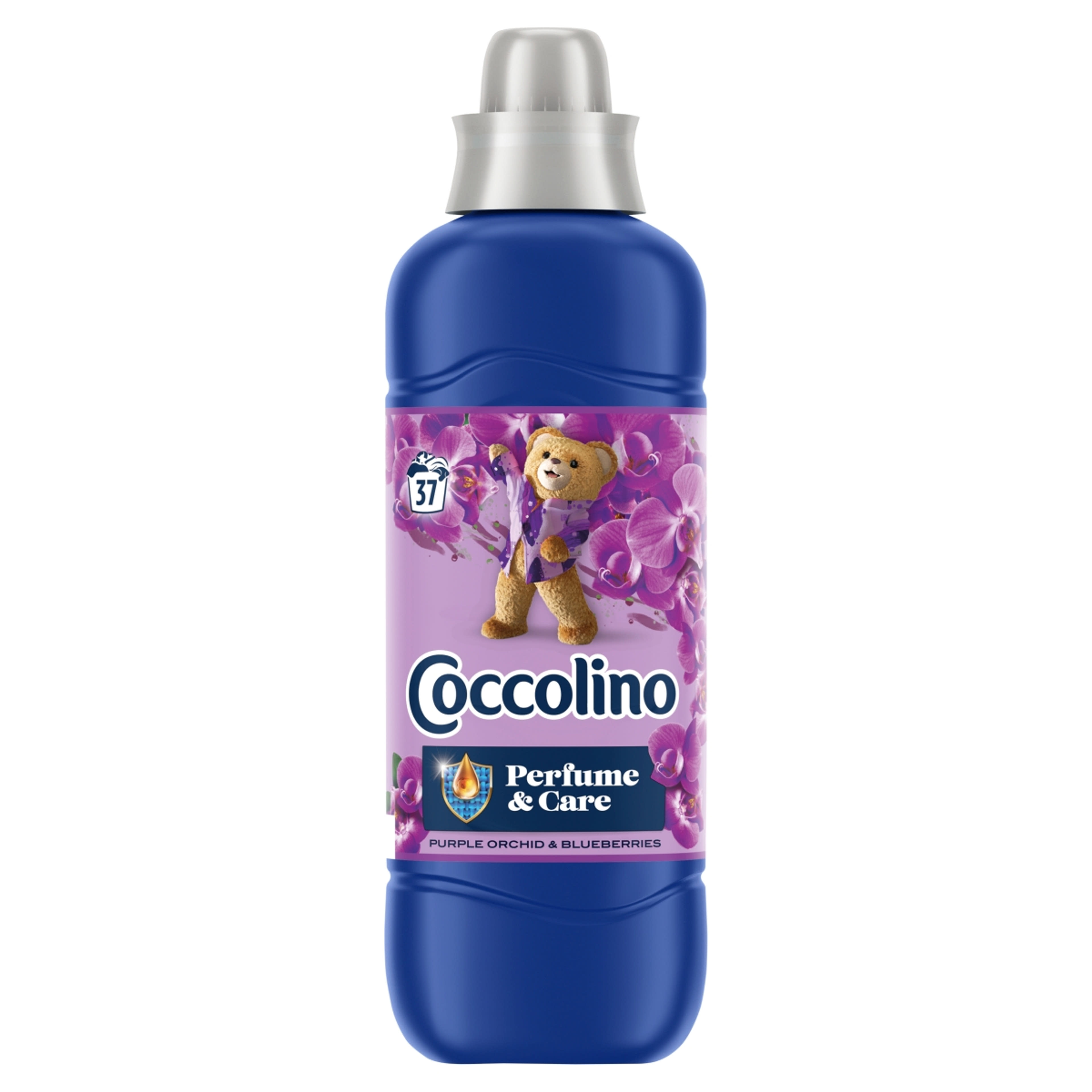 Coccolino Perfume & Care Purple Orchid & Blueberries öblítőkoncentrátum 37 mosás - 925 ml-1