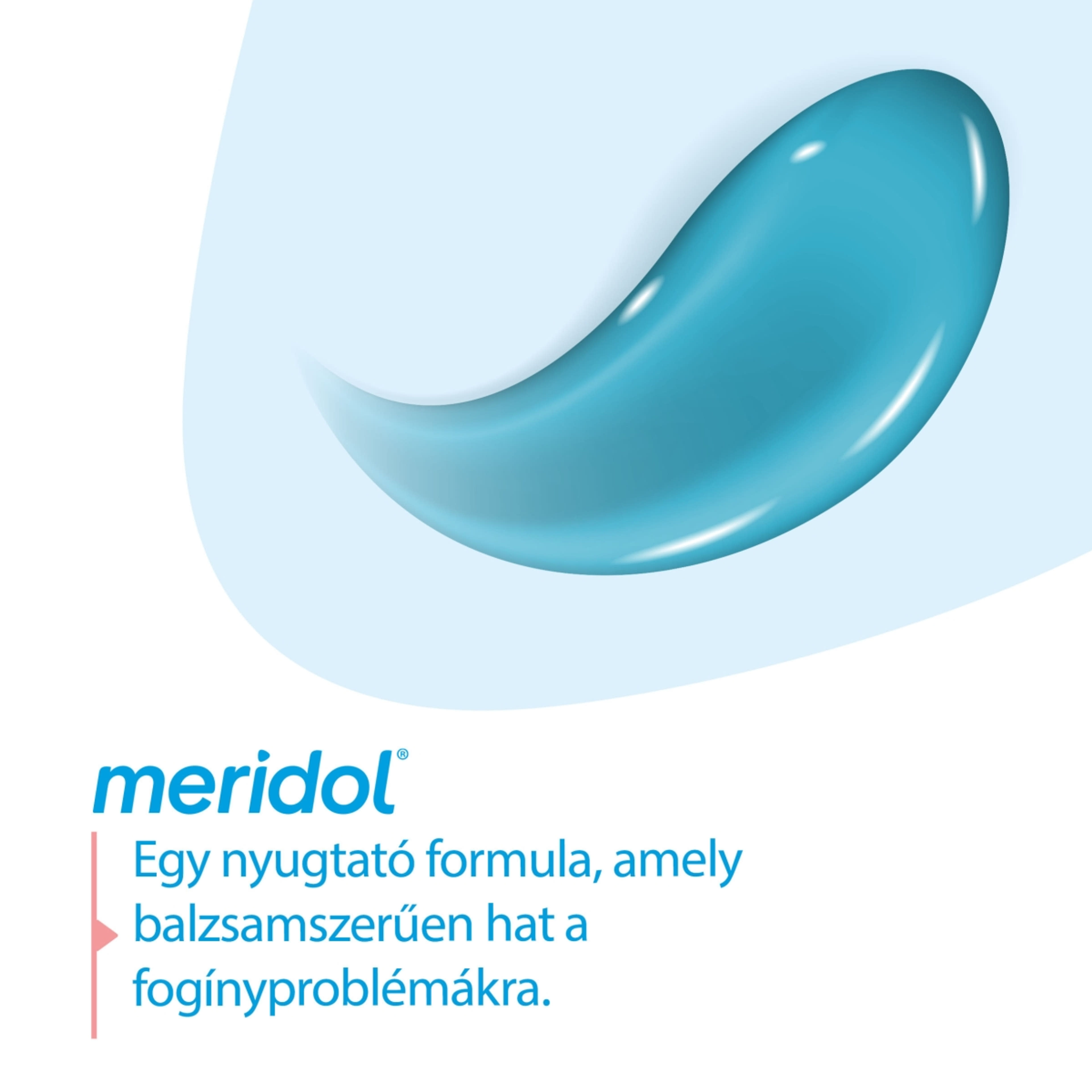 Meridol Gum Protection fogkrém az íny védelmére és ínyvérzés ellen - 75 ml-6