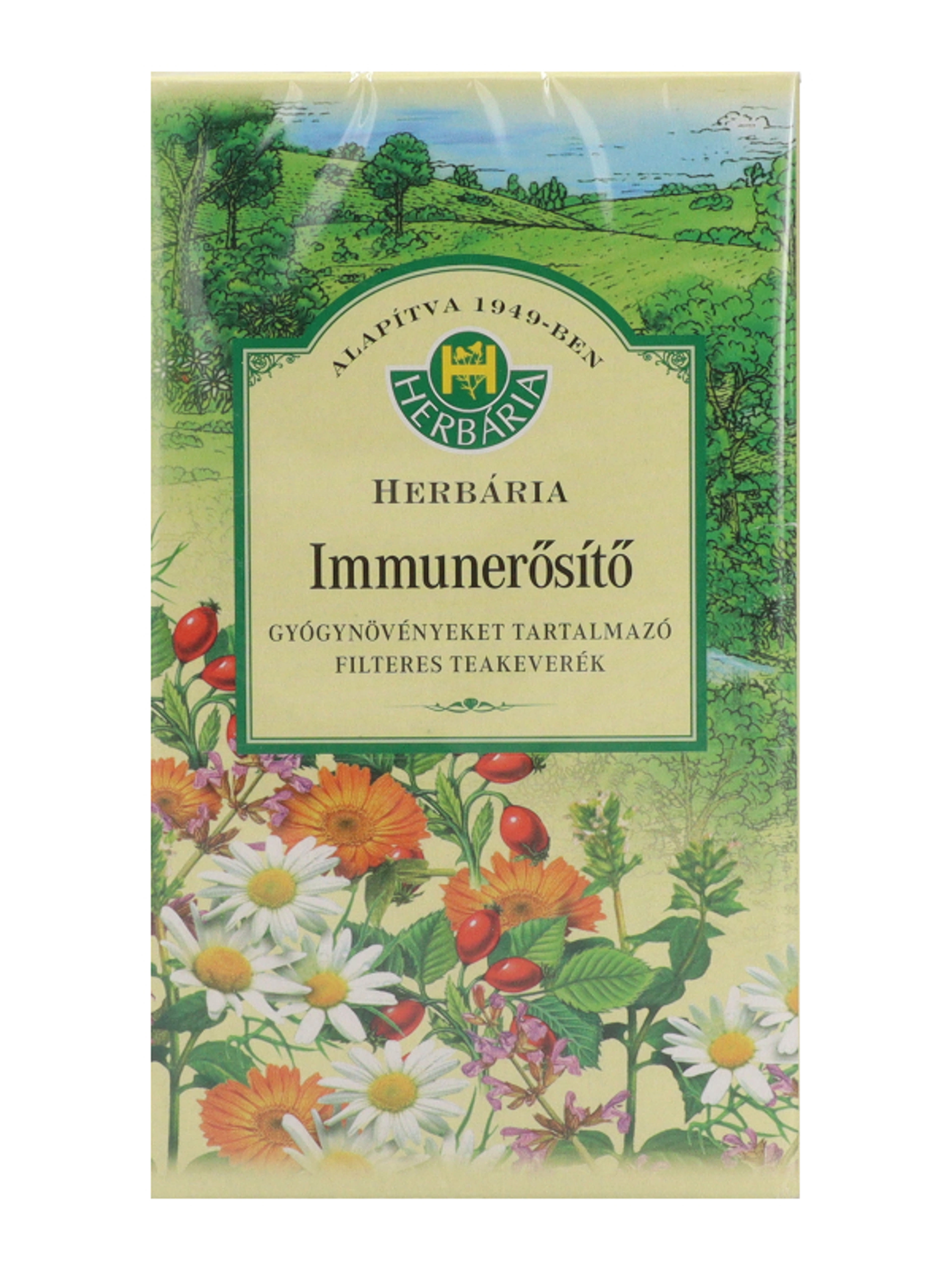 Herbaria immunerősítő tea - 20 db-3