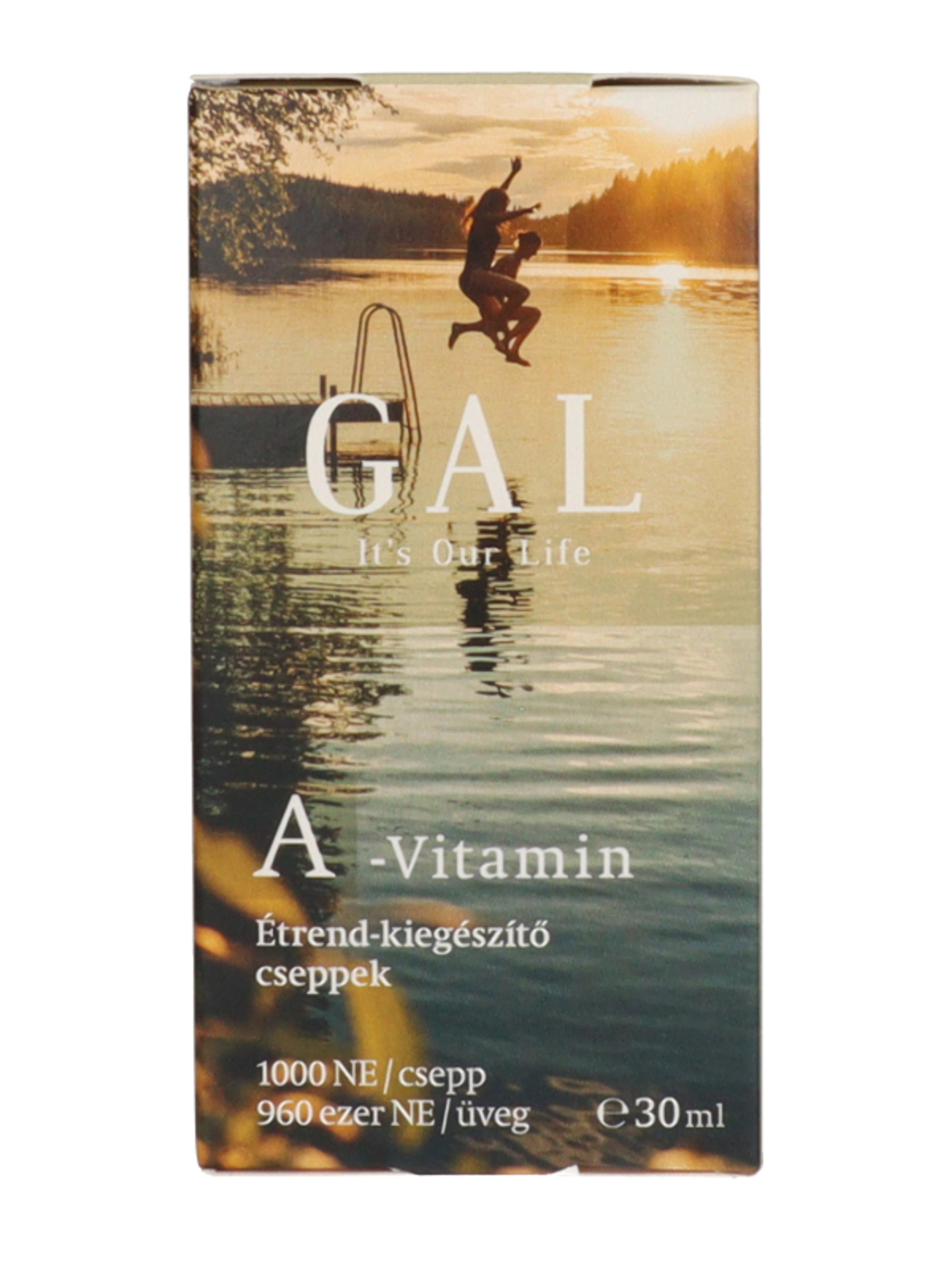 Gal A-vitamin értend-kiegészítő csepp - 30 ml-2