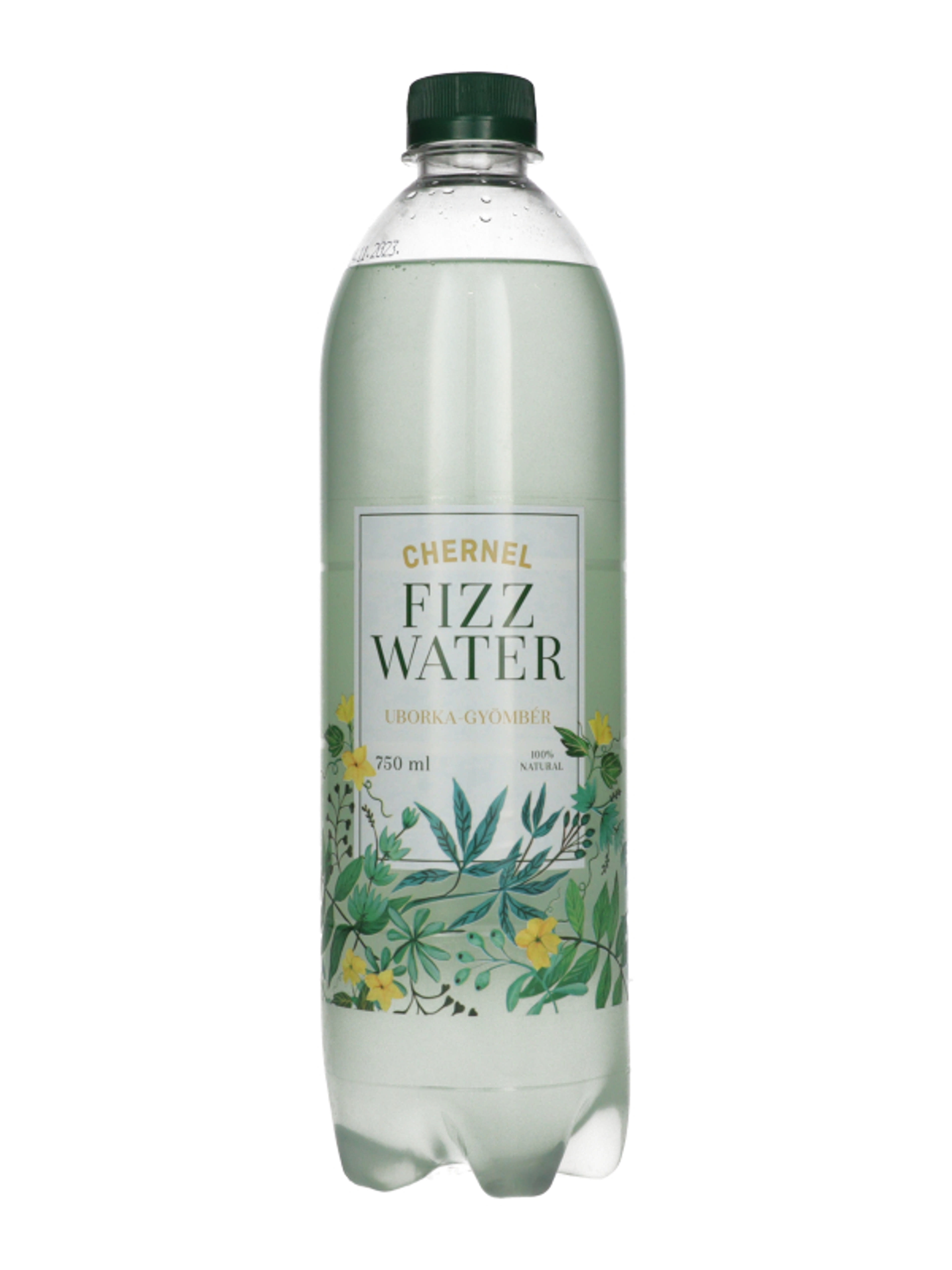 Fizz Water üditőital uborka-gyömbér - 750 ml-2