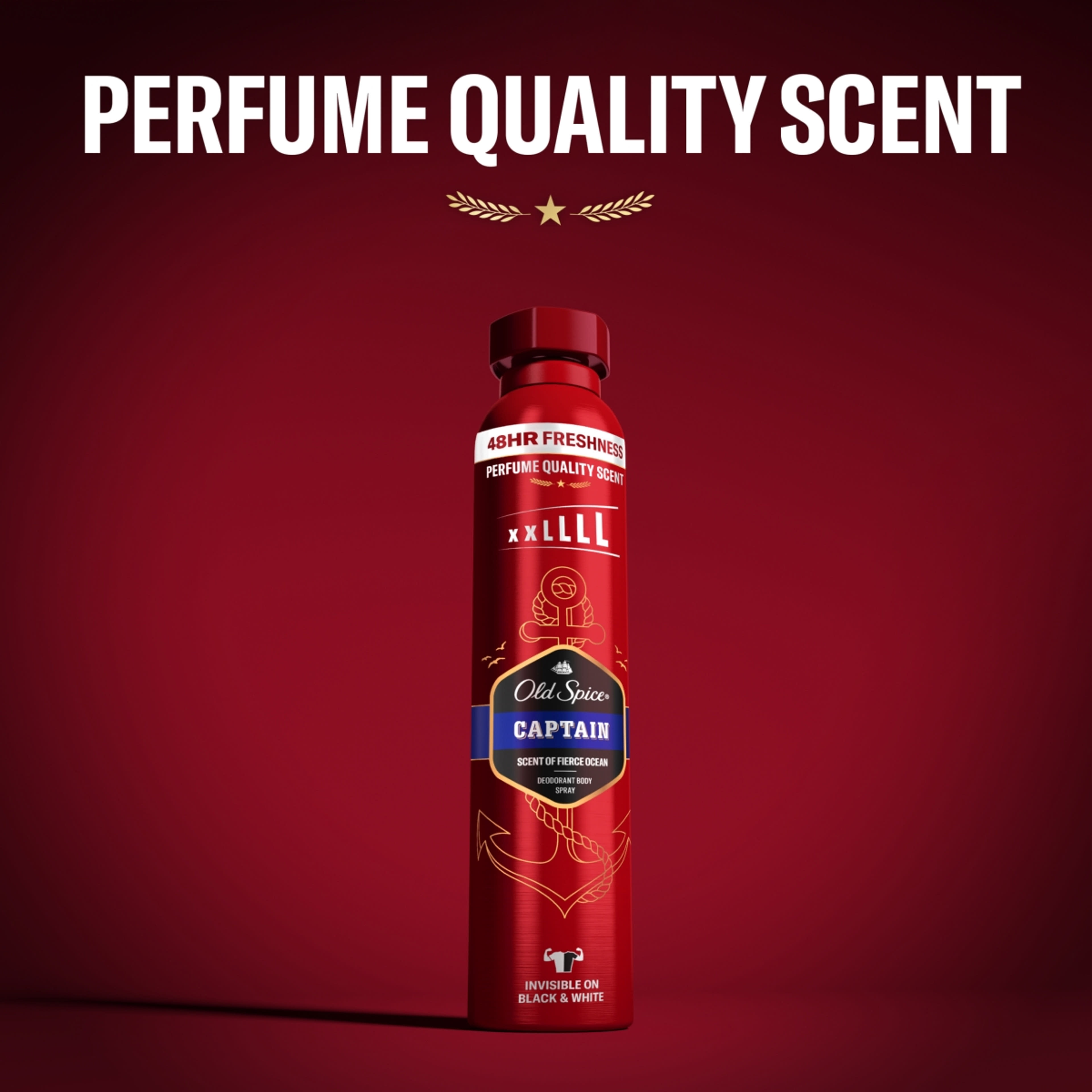 Old Spice Captain Deo Spray - 250 ml-2