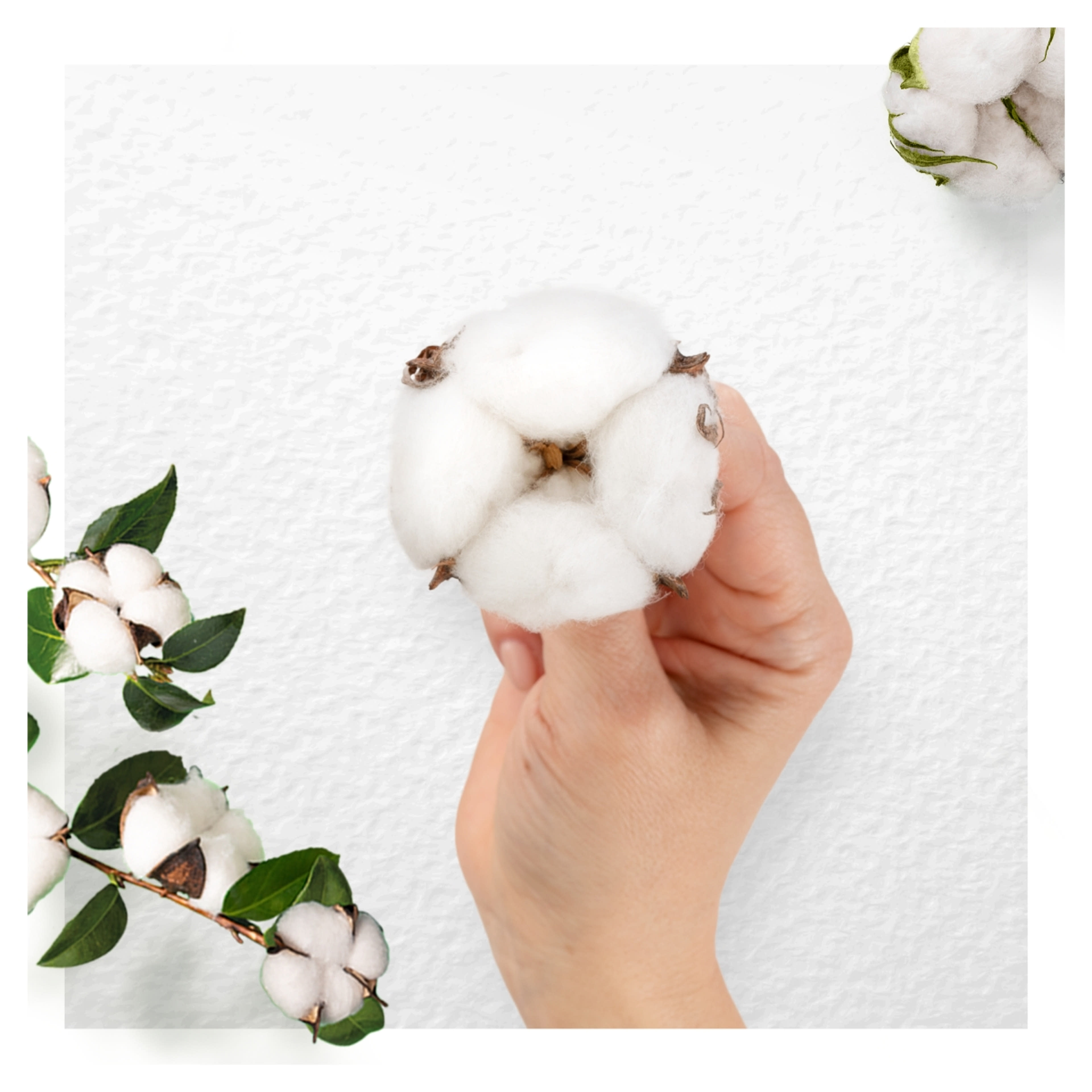 Always Cotton Protection Ultra Normal egészségügyi betét - 11 db-6