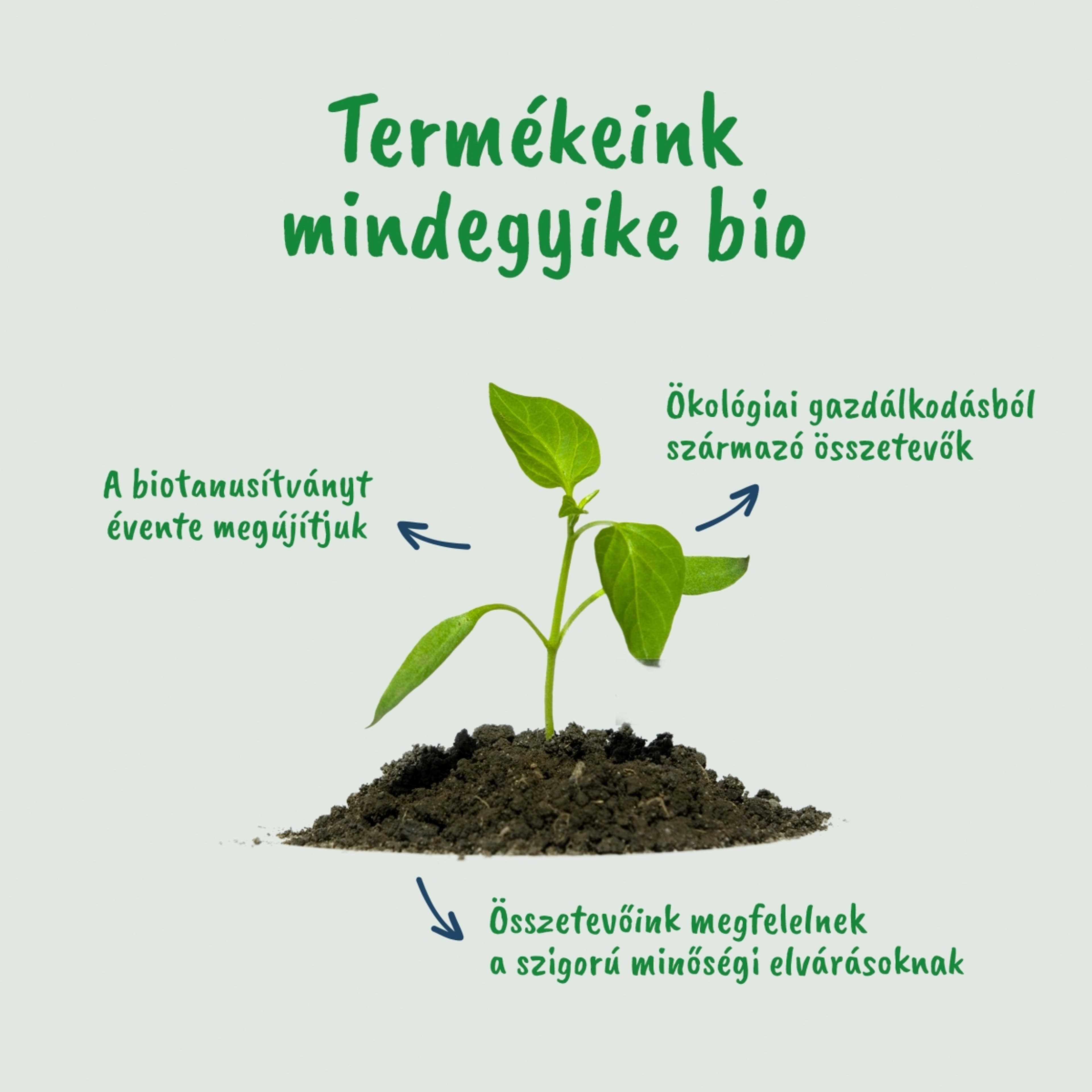 Gerber Organic kókusztej alapú alma-ananász ízű bio babadesszert 6 hónapos kortól 4 x 90 g - 360 g-4