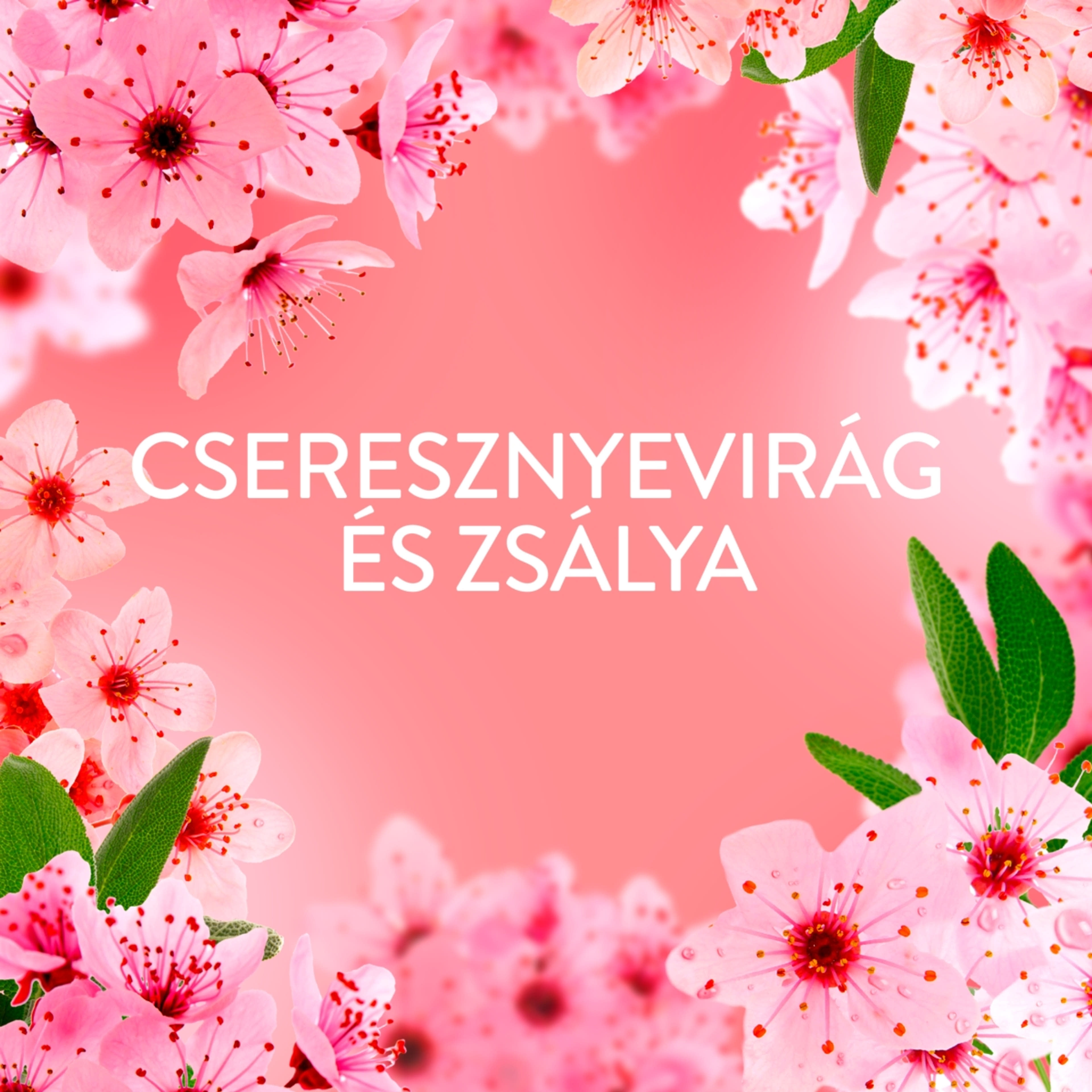 Lenor Cherry Blossom & Sage öblítő 59 mosáshoz - 1239 ml-2