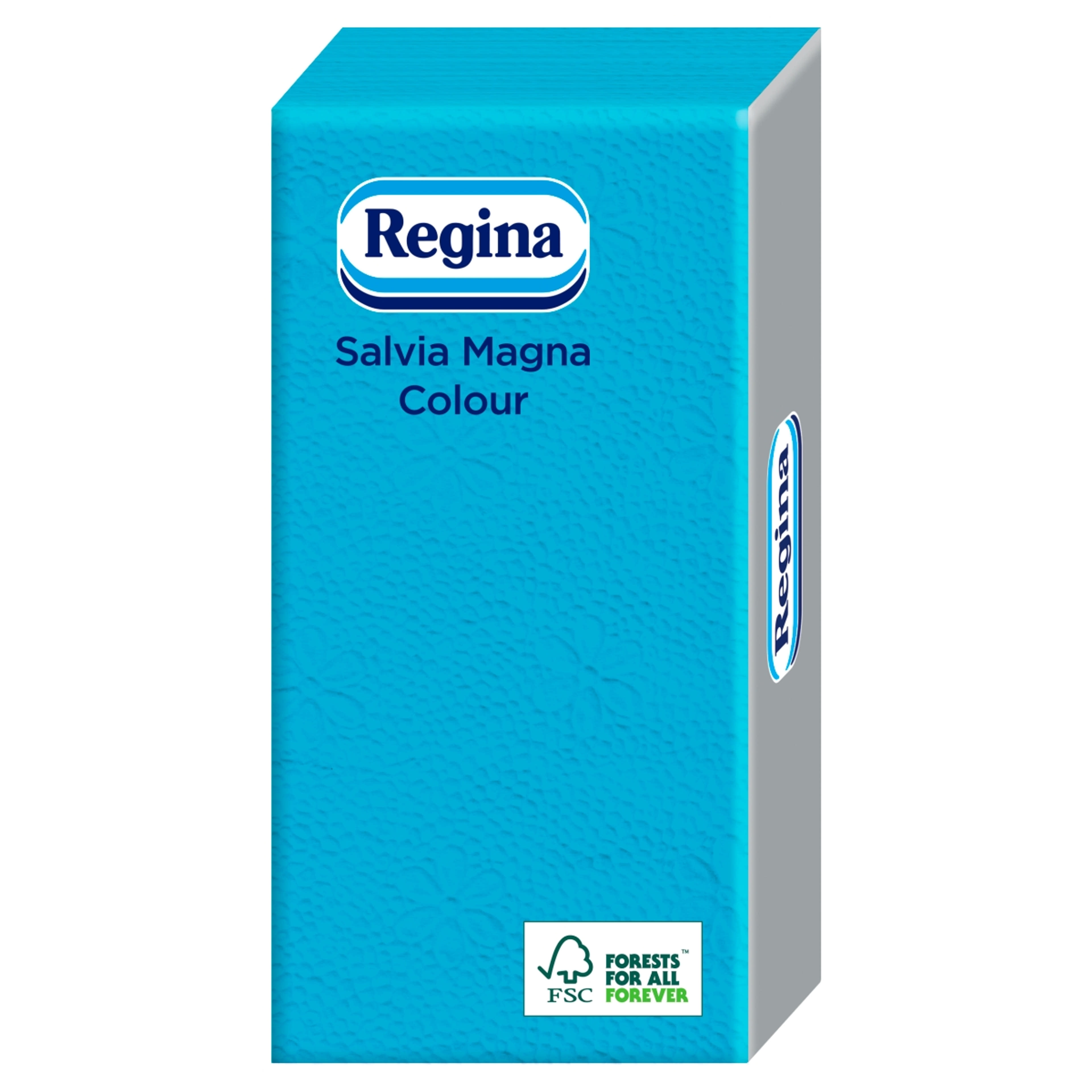 Regina Salvia Magna Colour, 1 rétegű szalvéta 38x38cm - 30 db