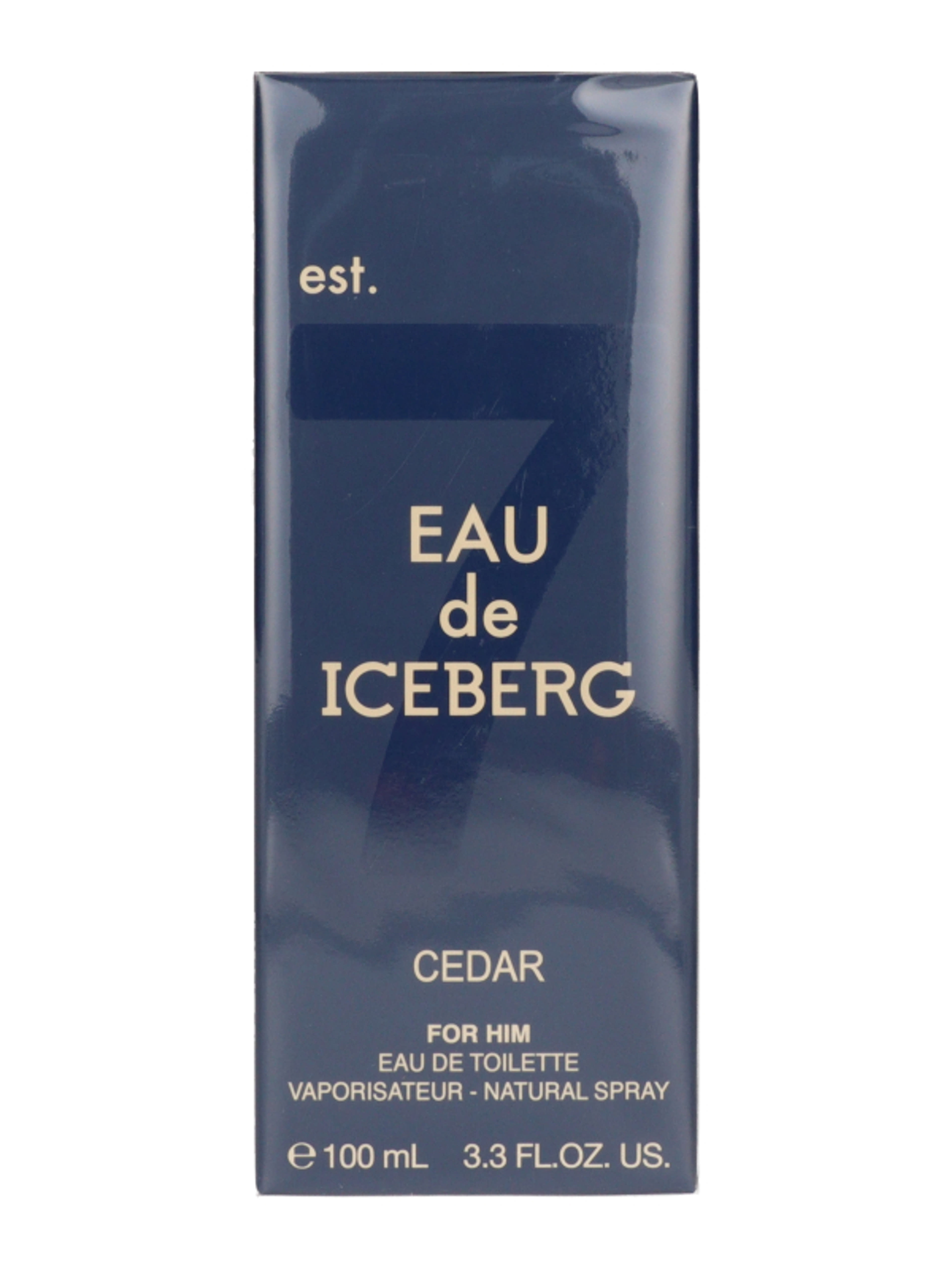 Iceberg Cedar férfi Eau de Toilette - 100 ml-3