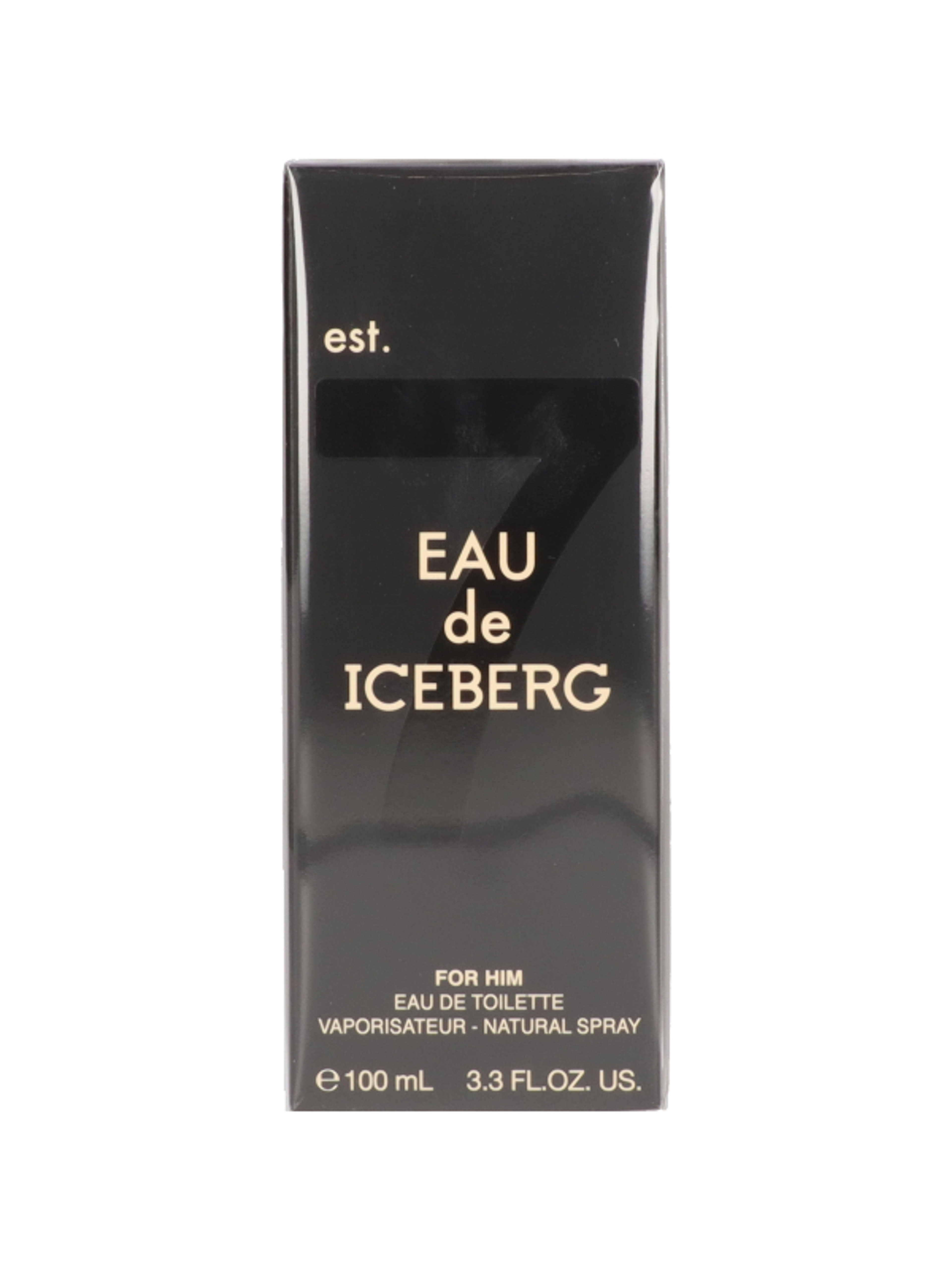 Iceberg Homme férfi Eau de Toilette - 100 ml-2