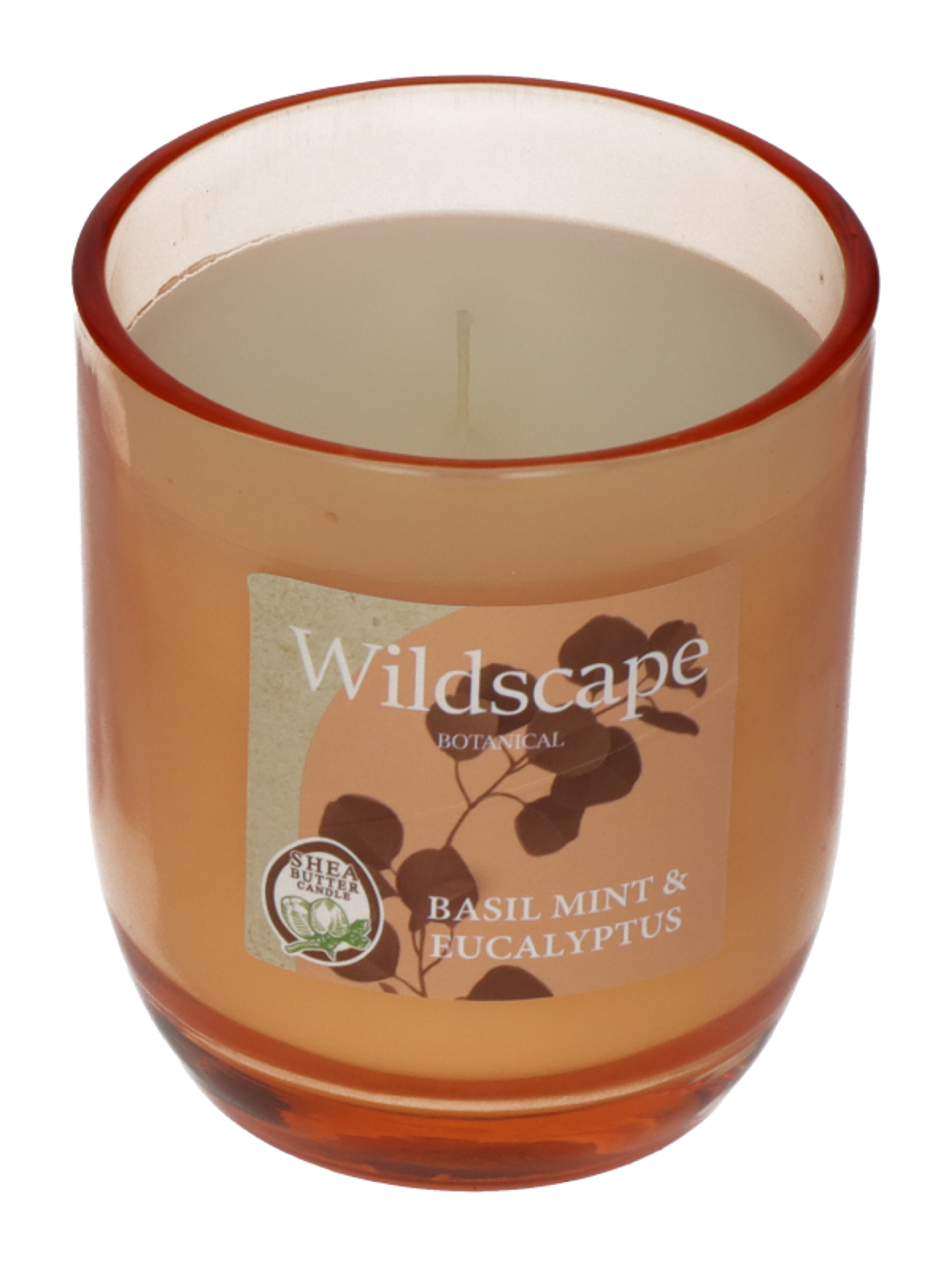 Basil Mint and Eucalyptus illatgyertya - 158 g-2