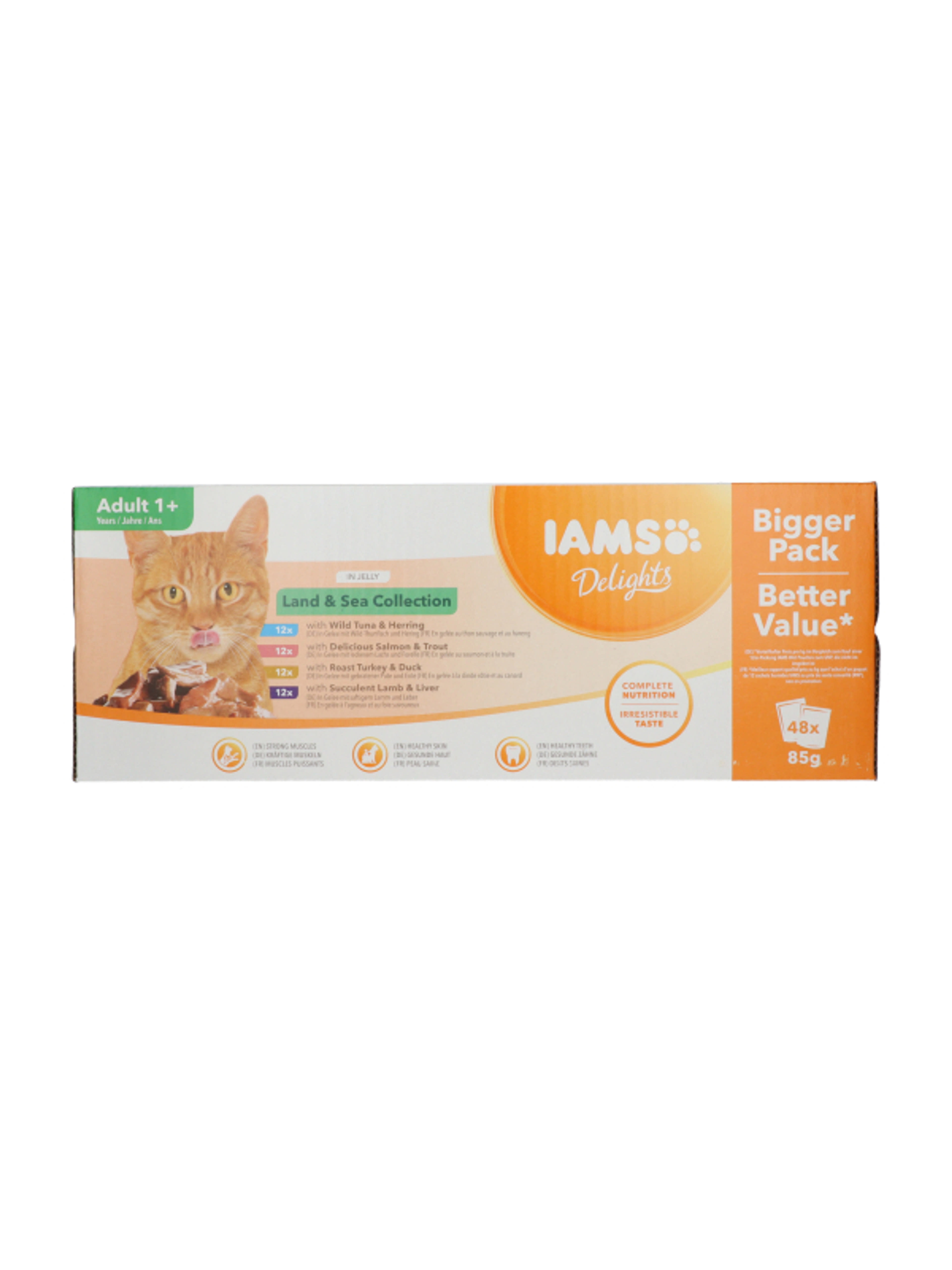 IAMS Delights alutasak húsos és halas válogatás aszpikban 48x85 g - 4080 g-2
