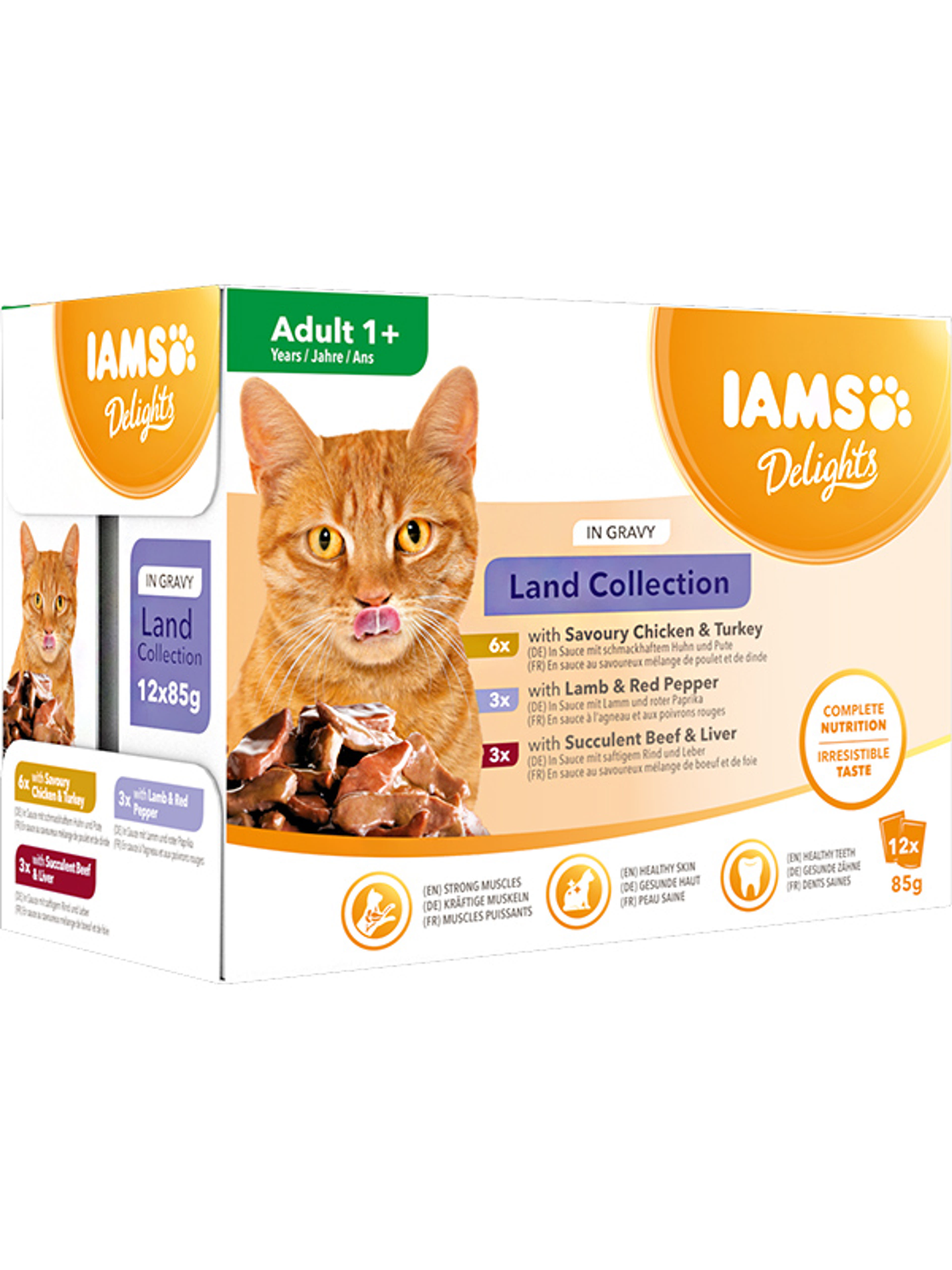 IAMS Delights alutasak macskáknak, Land in gravy szószos (12x85 g) - 1020 g-2