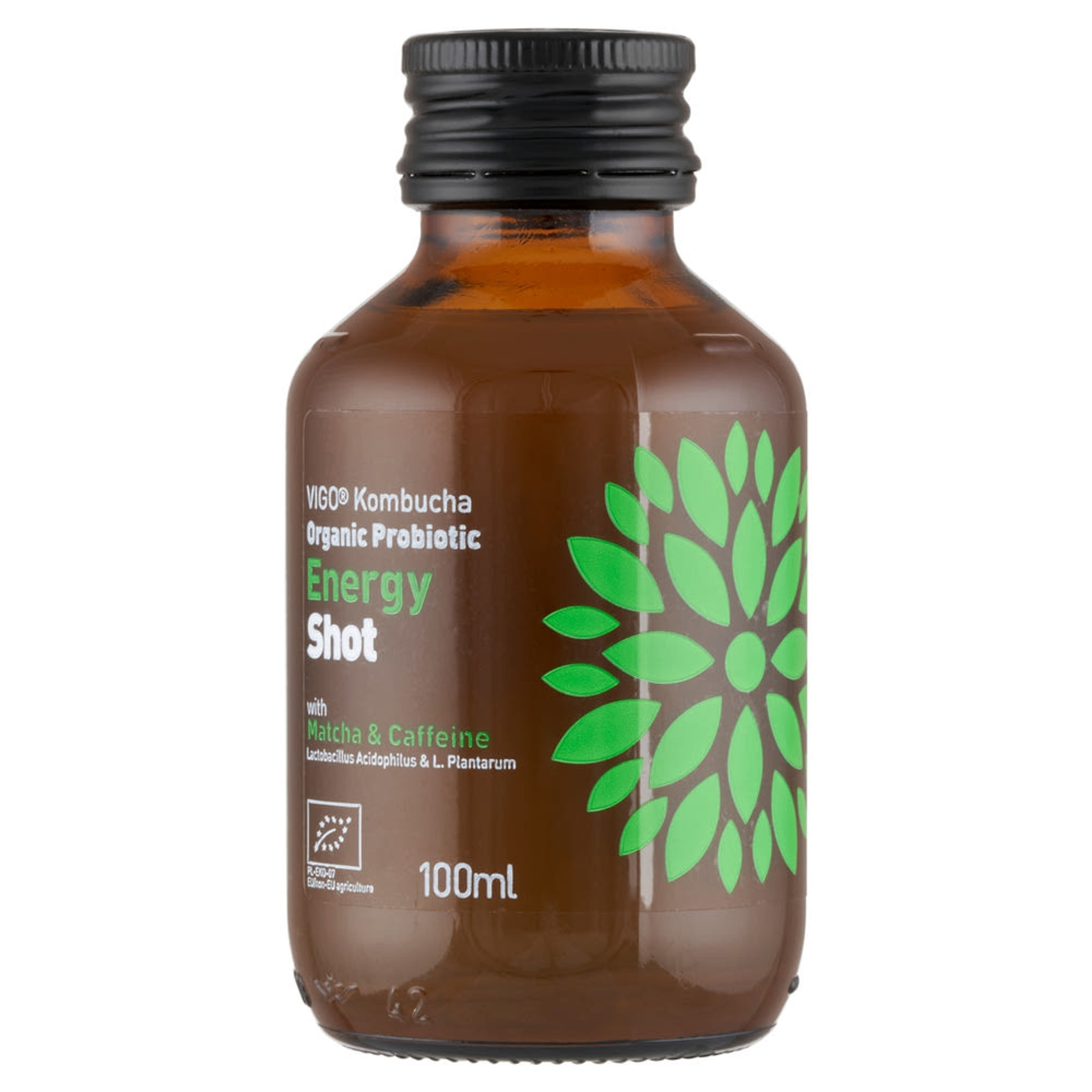 Vigo Bio Shot Energy kombucha ital - 100 ml