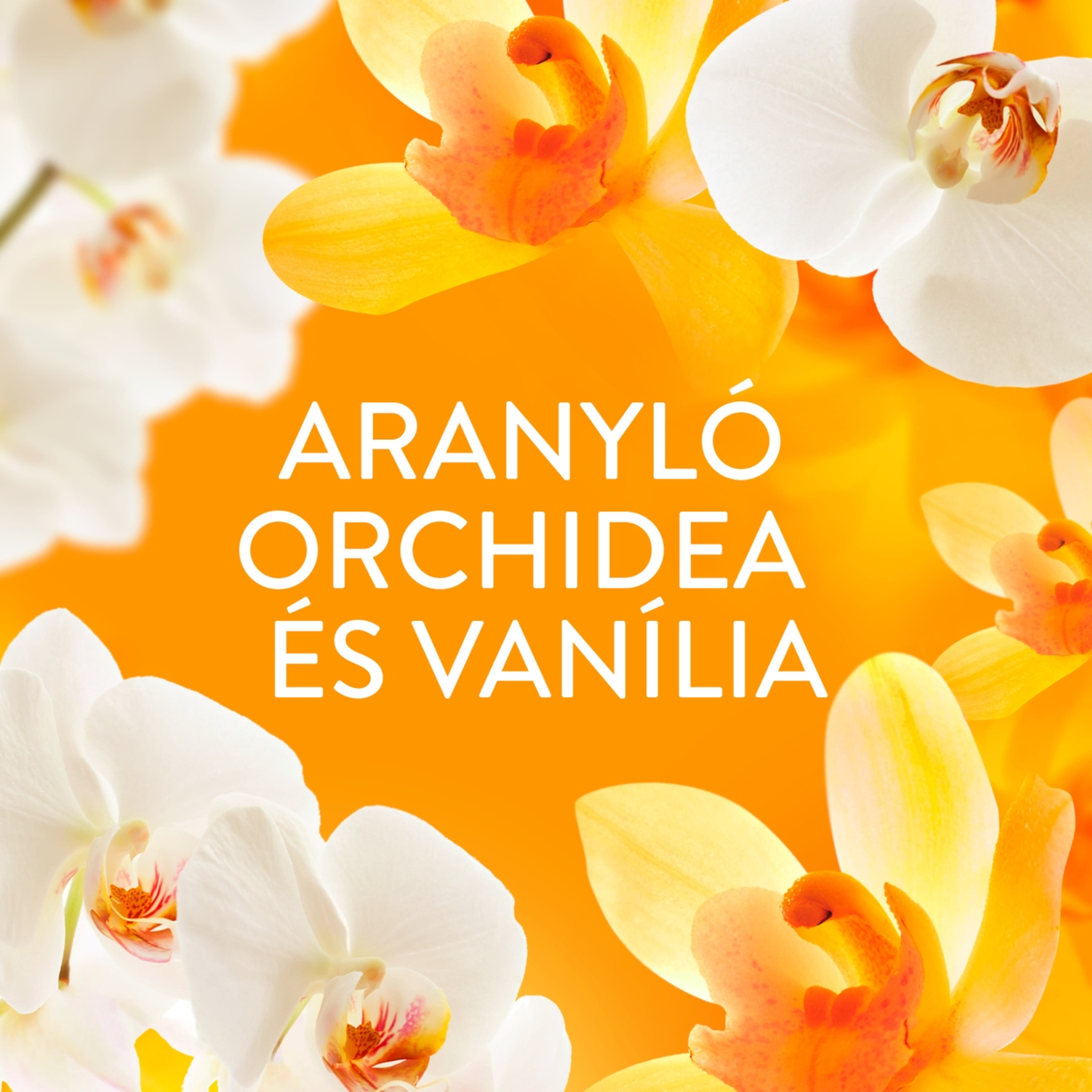 Lenor Orchid & Vanilla öblítő 59 mosáshoz - 1239 ml-3