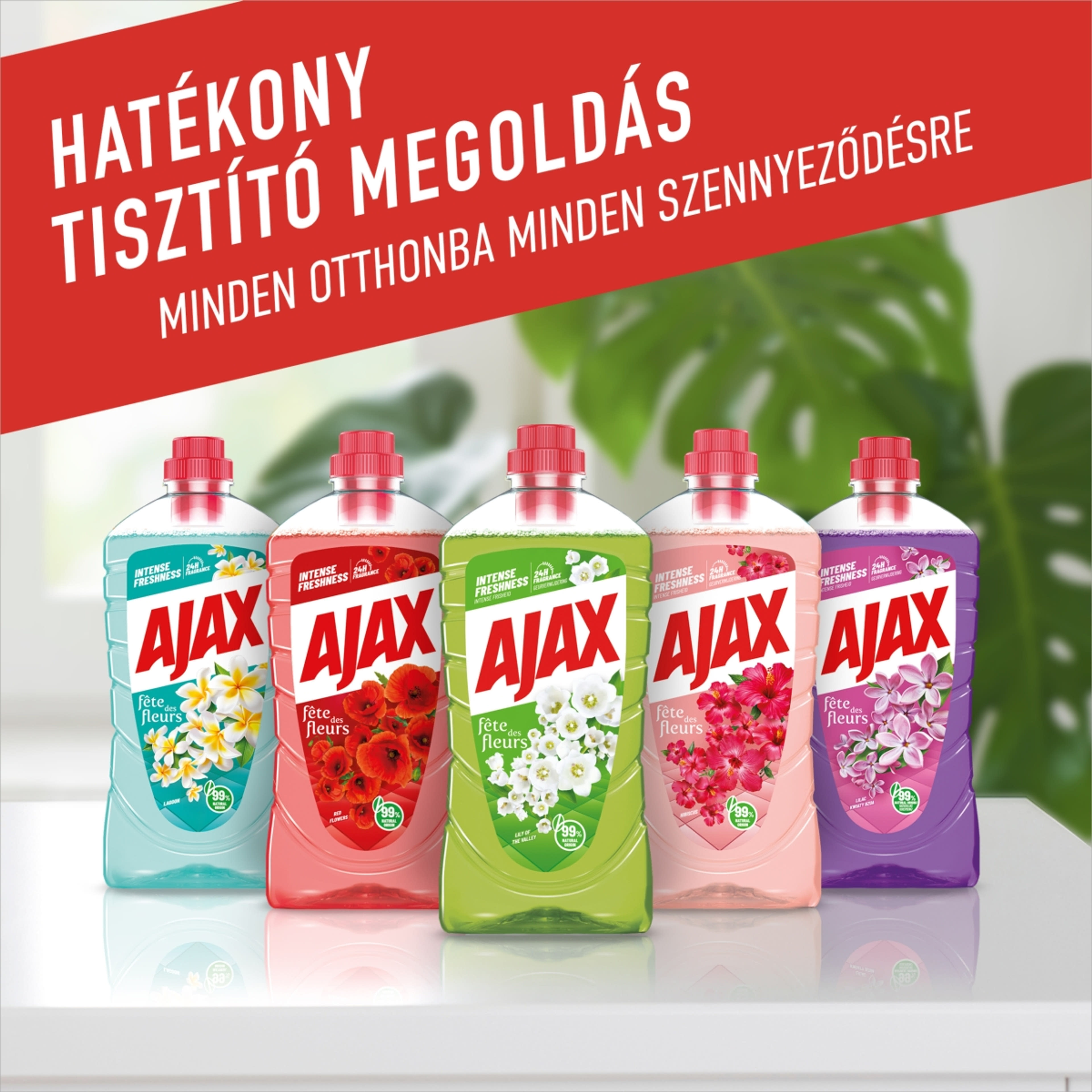 Ajax Floral Fiesta Spring Flowers általános tisztítószer - 1000 ml-7