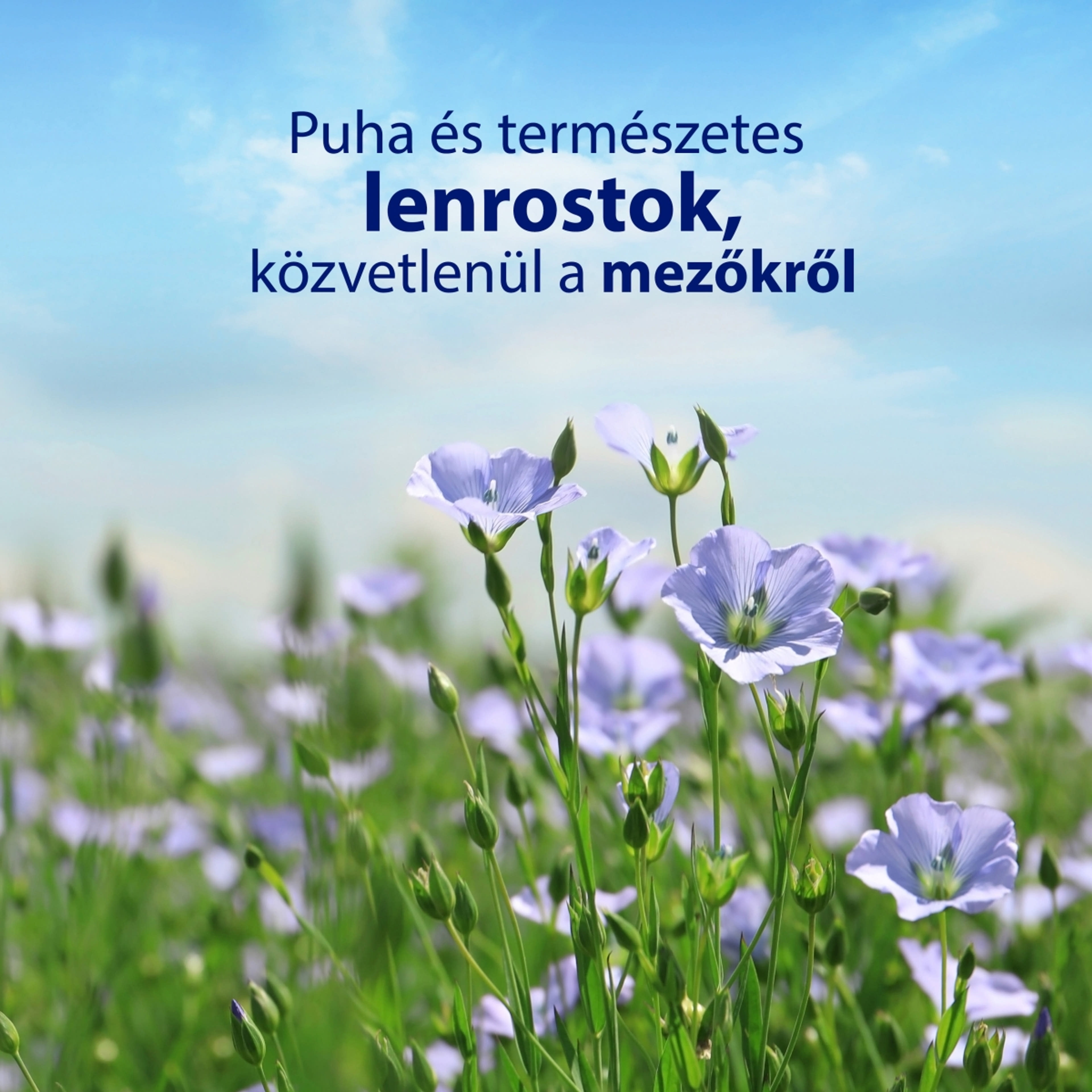 Zewa Pure nedves toalettpapír - 42 db-4