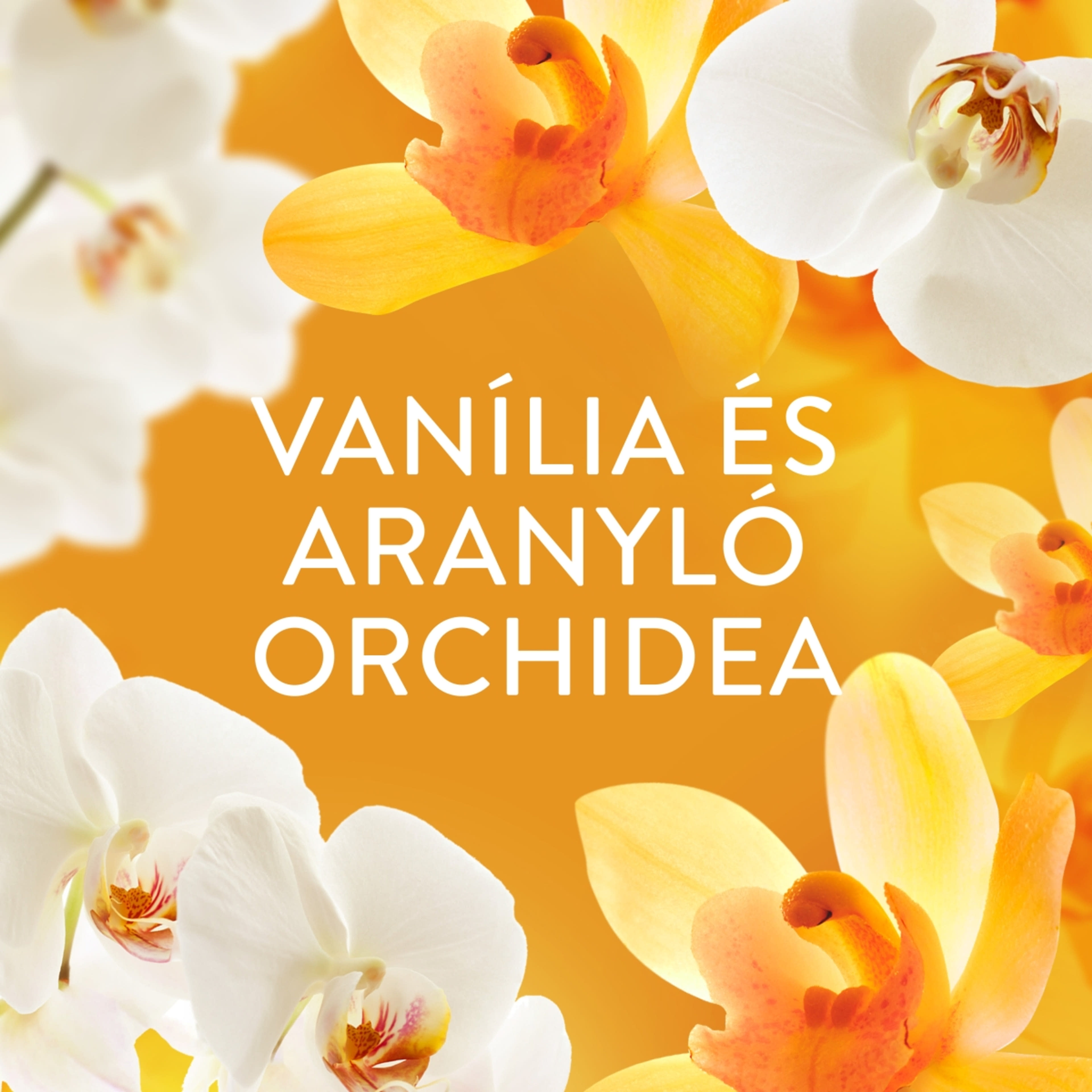 Lenor Gold Orchid & Vanilla illatgyöngy - 270 g-2