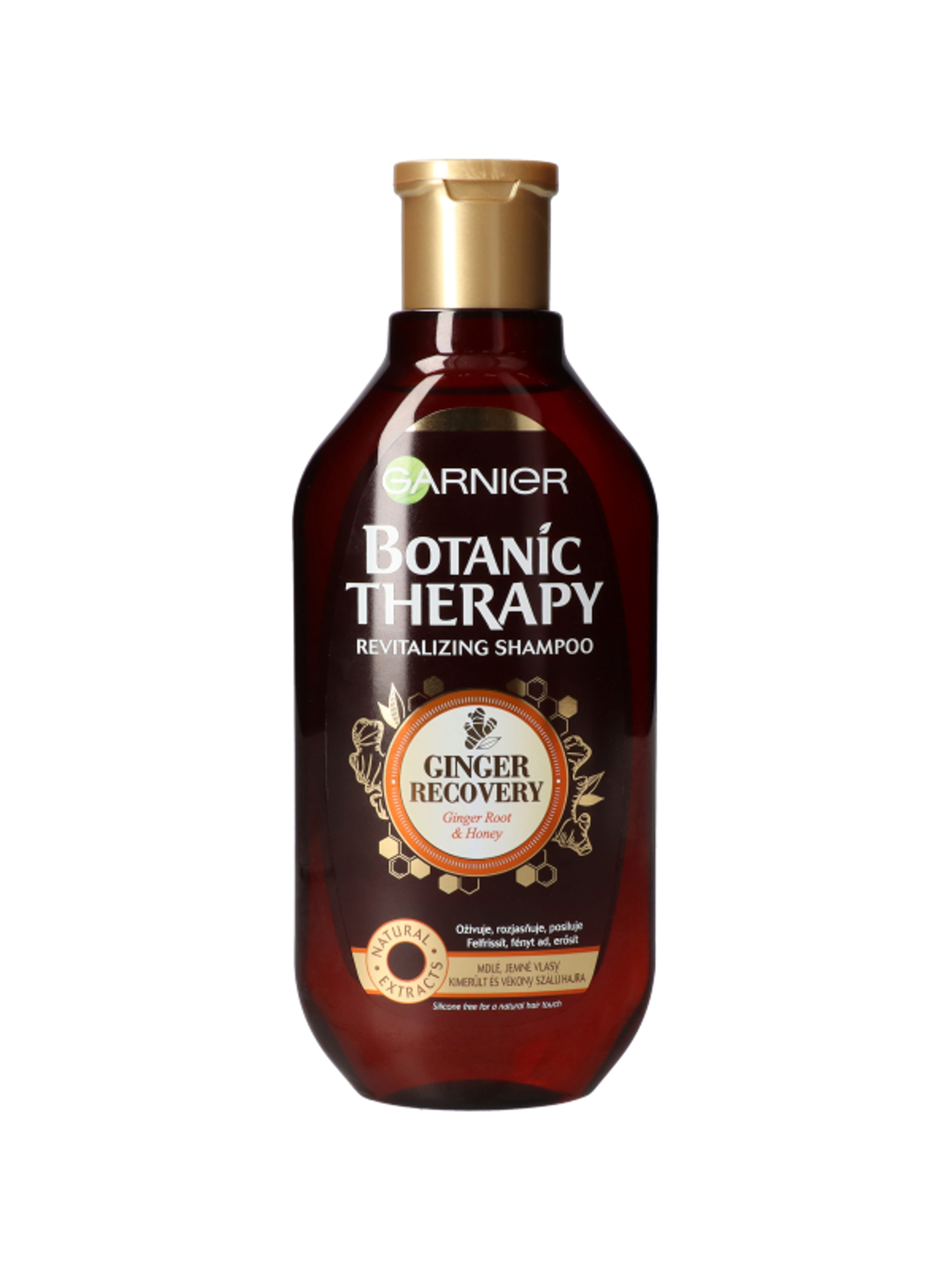 Botanic Therapy sampon honey ginger - 400 ml-1