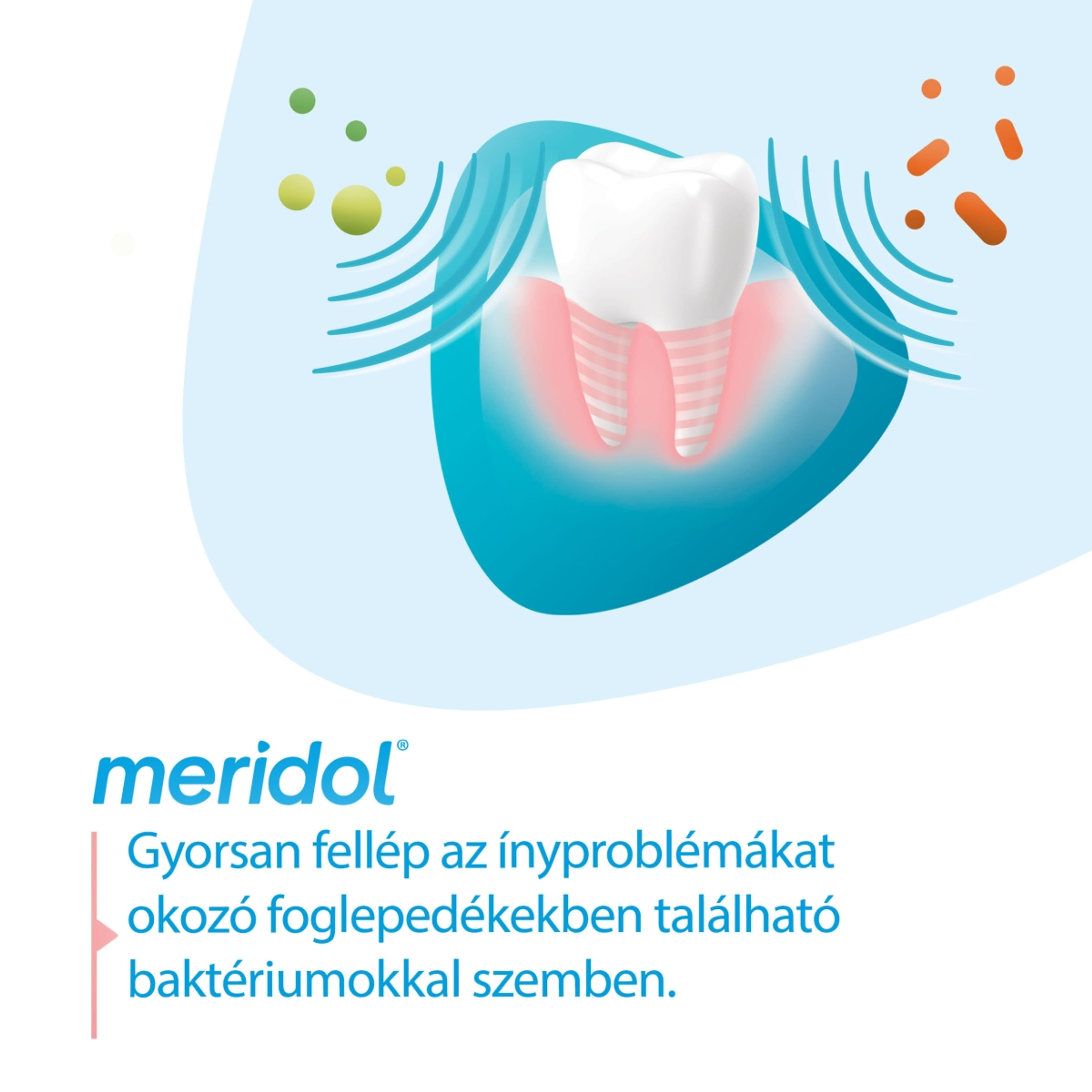 Meridol Gum Protection fogkrém az íny védelmére és ínyvérzés ellen - 75 ml-5