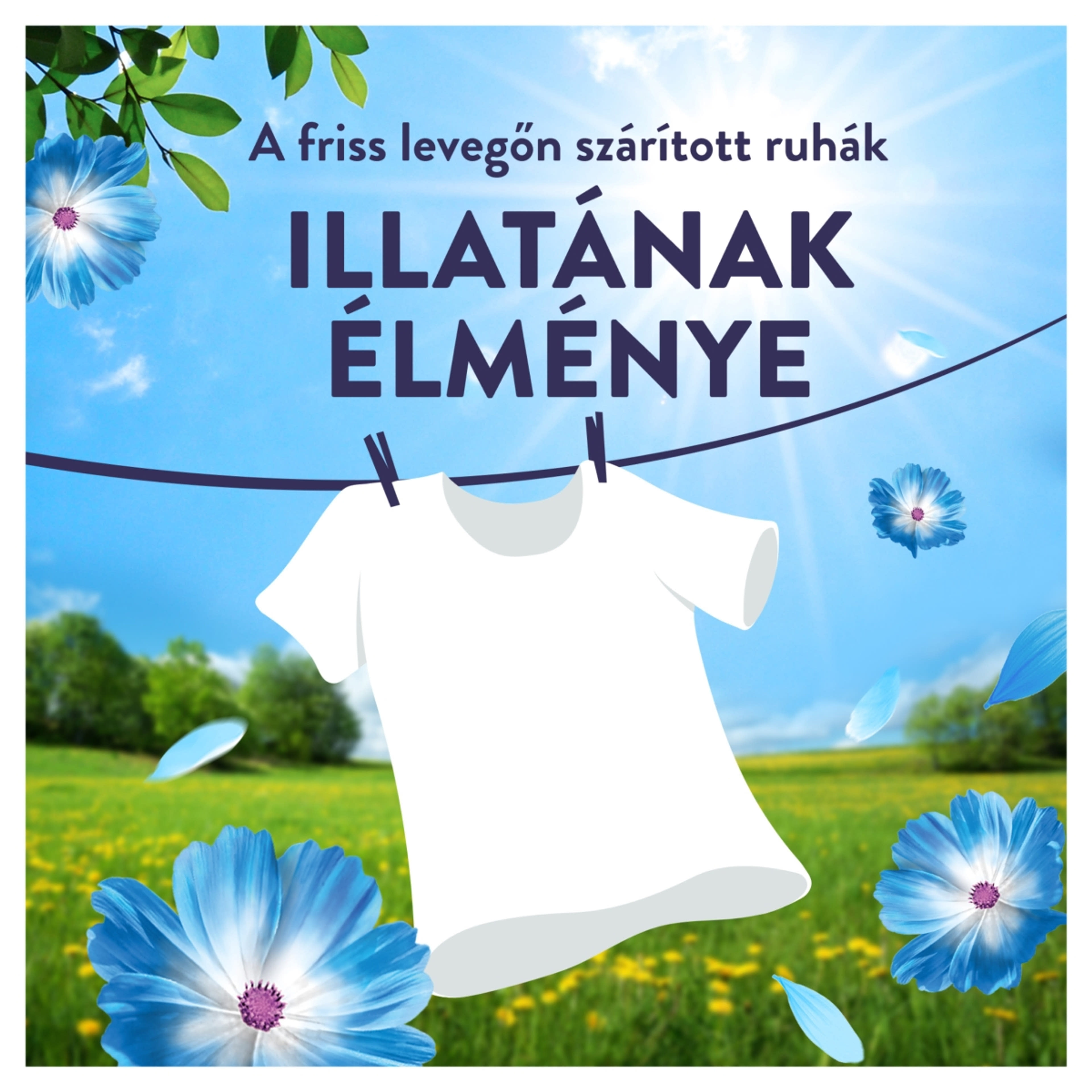 Lenor Fresh Wind öblítő 86 mosáshoz - 1204 ml-2