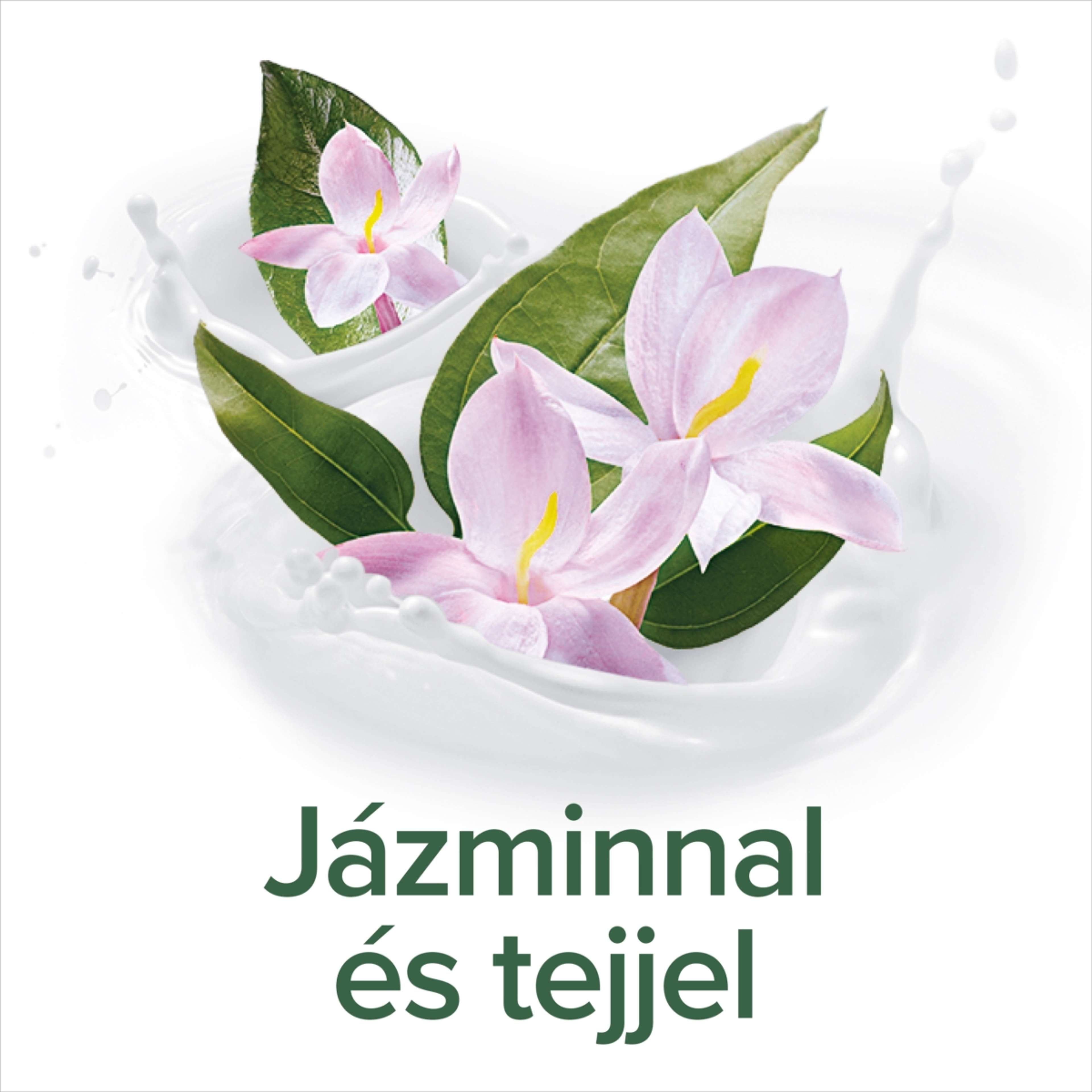 Palmolive Naturals Jasmine & Milk tusfürdő - 500 ml-3
